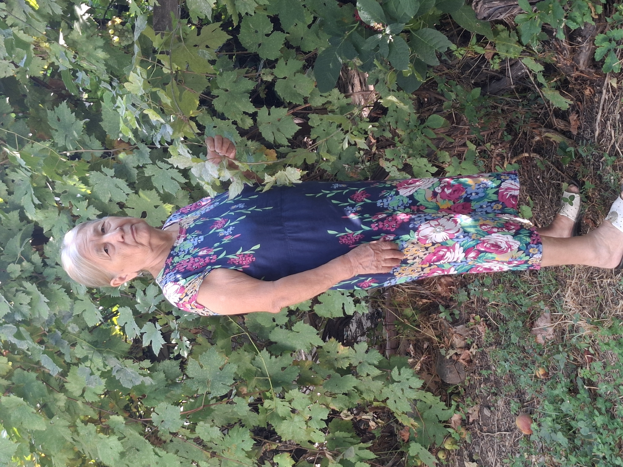 An elderly woman with light-colored hair stands in a garden, in front of a dense green leafy vine. She is wearing a dark blue dress with a floral pattern in shades of pink, white, blue, and yellow. Her right hand is raised, holding a small branch with leaves. She is wearing light-colored sandals. The ground in front of her is covered with dry grass, dirt, and some green clover-like plants. There are fallen fruits visible on the ground. The background consists of the lush green foliage of the vine, with some branches and possibly a wooden fence visible behind it. The overall impression is of a casual outdoor scene in a garden. The specific location in Almaty, Kazakhstan cannot be determined from the image alone.