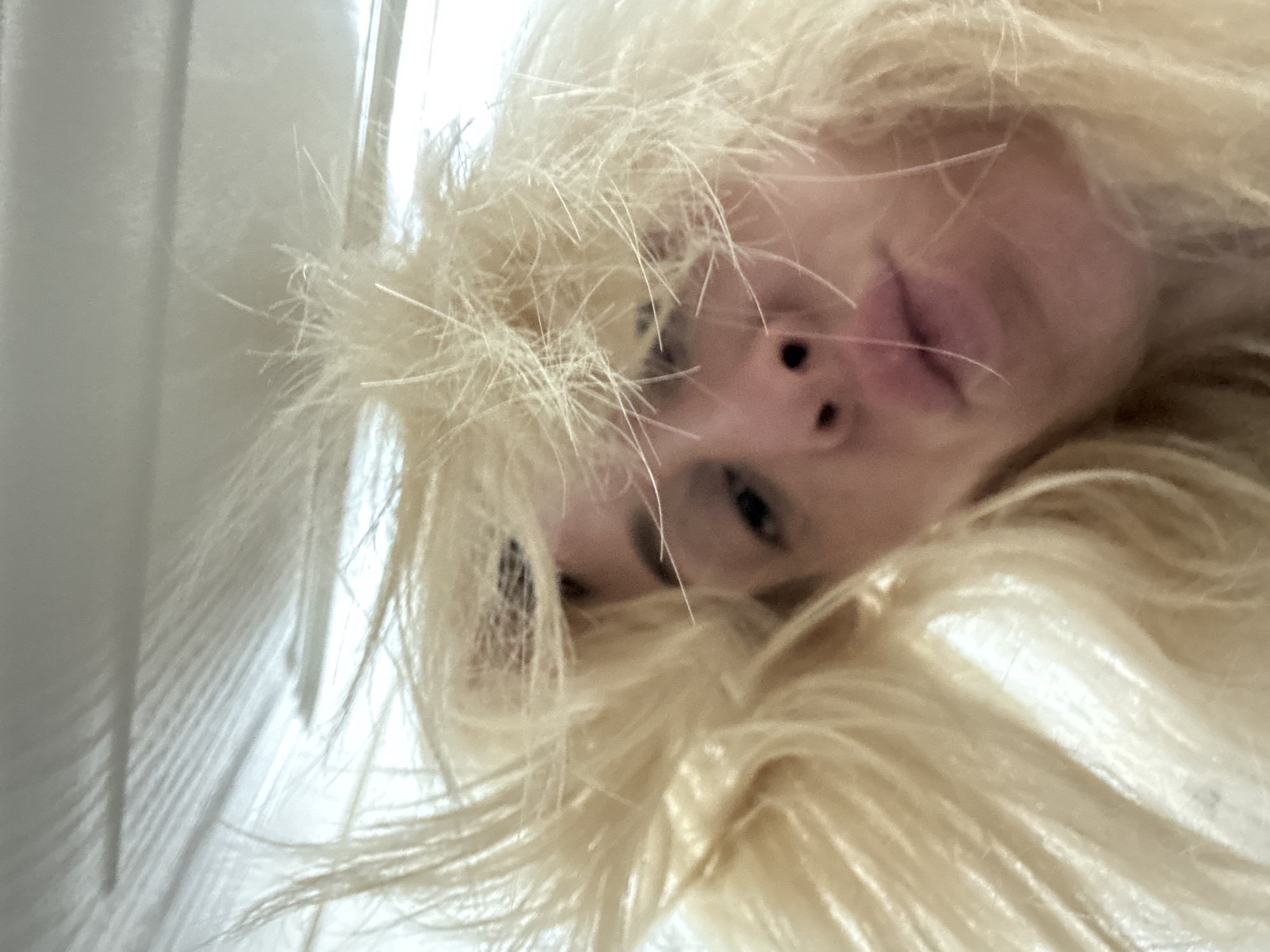The image presents a close-up, inverted view of a person's face surrounded by disheveled, light blonde hair. The individual's face is predominantly visible, with features including eyes, nose, and lips. The lighting is soft, casting subtle shadows across the face. The background is a blurry, light-colored surface.