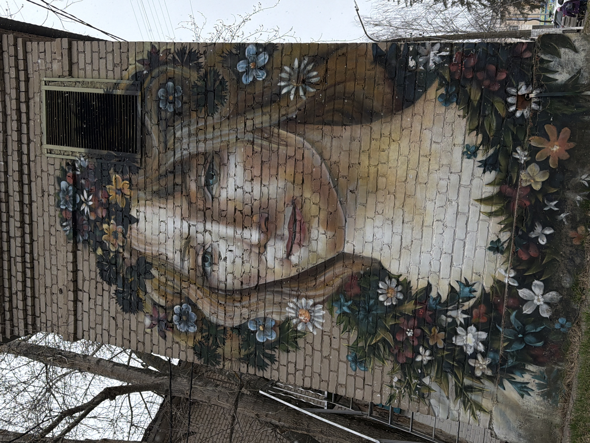 A mural of a woman with flowers in her hair is painted on a brick wall. The woman has fair skin, blue eyes, and reddish lips. She is wearing a wreath of colorful flowers in her hair. The flowers are arranged in a circle around her head. The mural is painted on a brick wall of a building in Chaikovsky, Russia. The building also has a window. There are bare branches from trees visible. A ladder leans against the wall.