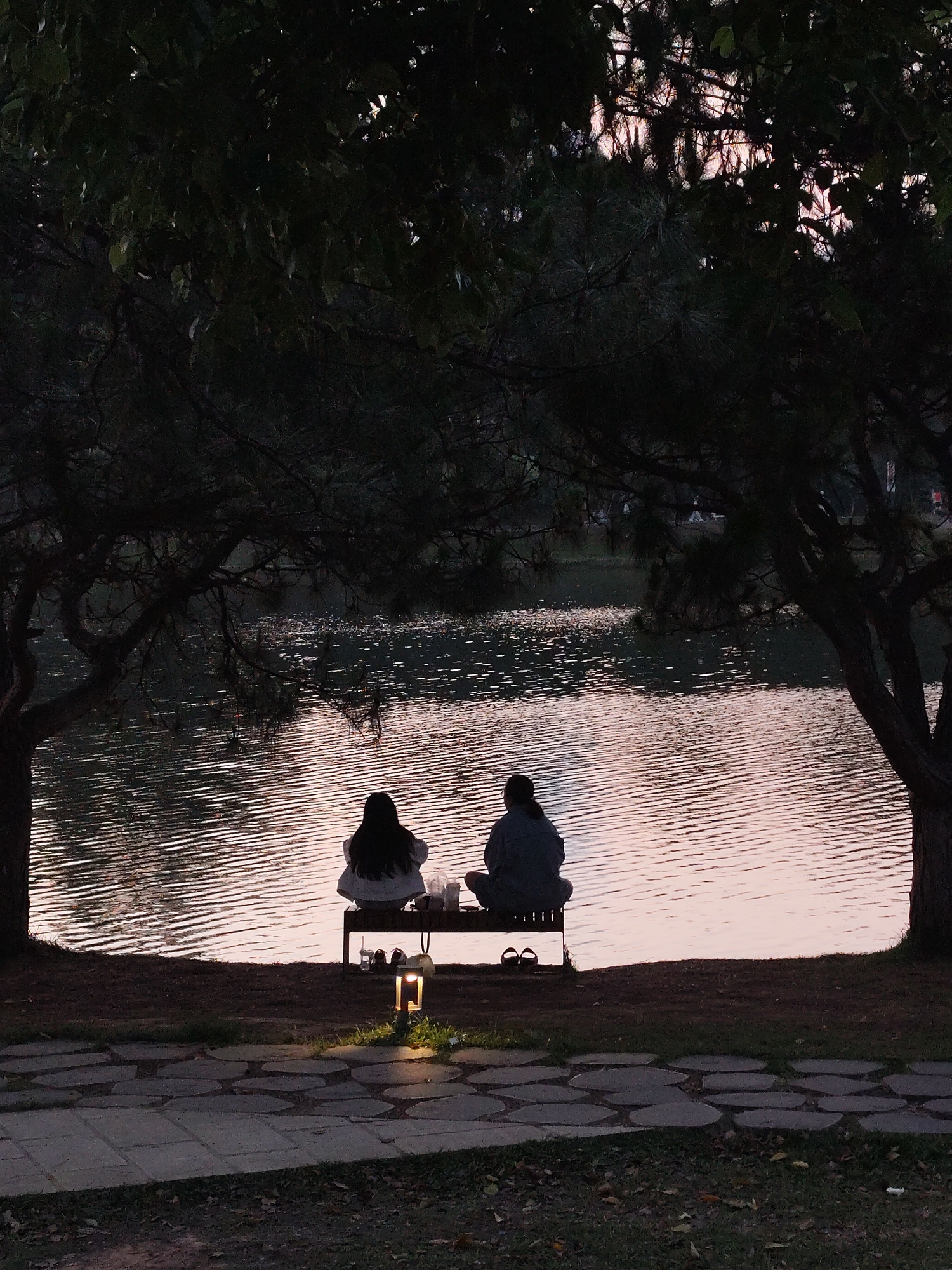 Two individuals sit on a bench facing a body of water, possibly a lake, under the canopy of trees, in Da Lat, Vietnam. The water reflects a pink-tinged light. The individuals appear to be sitting close to one another. The environment includes a paved stone path leading to the bench, and a small light fixture illuminates the immediate area around the bench. Shoes are placed to the side on the bench. The scene is partially obscured by shadows and dark foliage.