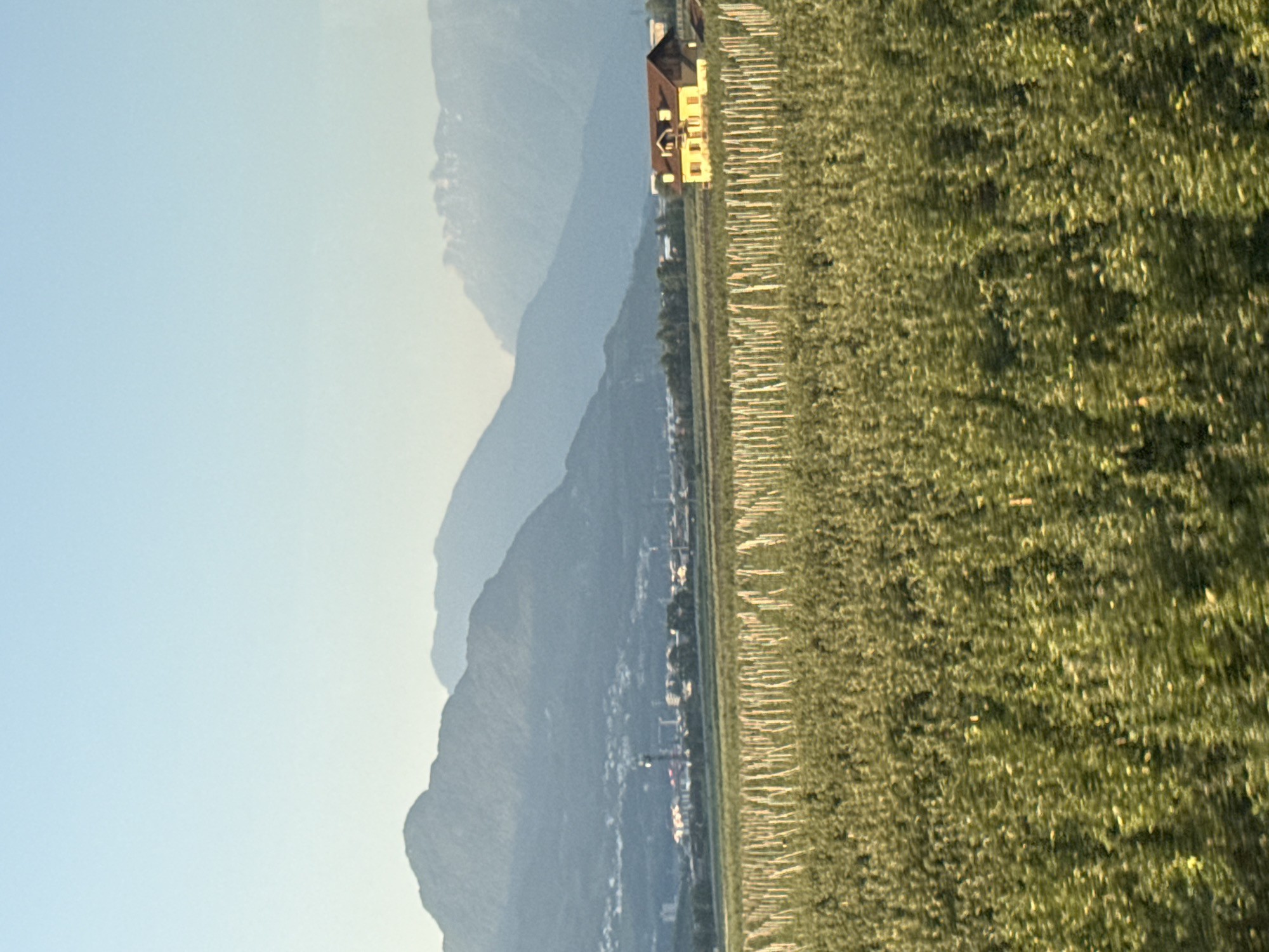 The image depicts a panoramic view of a rural landscape with a clear, light blue sky. In the foreground, a lush green field of crops stretches across the frame, with rows of vertical stakes or trellises interspersed throughout. In the middle ground, a yellow building with a brown roof stands prominently, resembling a house. Behind the field and the building, a town or city can be seen with various structures, including buildings and a tall tower. The background is dominated by a series of layered mountains, with the furthest peaks appearing hazy and snow-capped. The scene suggests a rural setting near mountains, likely during daylight hours given the clear sky and illumination. The location is identified as Nave San Rocco, Italy.