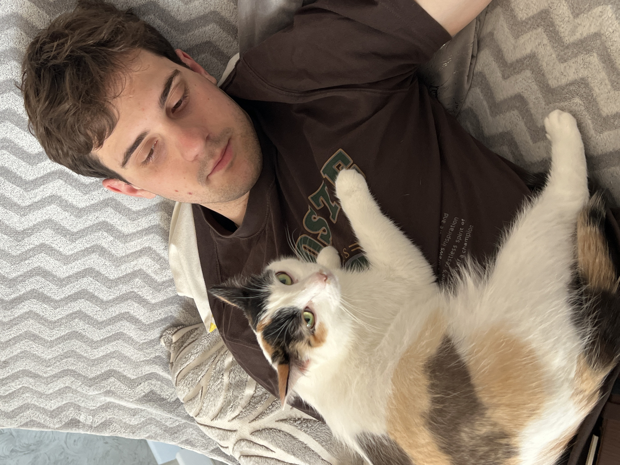 A person lies on a light-colored patterned blanket, wearing a brown t-shirt. A calico cat lies on the person's chest, with one paw raised. The cat is looking up at the camera. The location is Rossiyskiy, Russia.