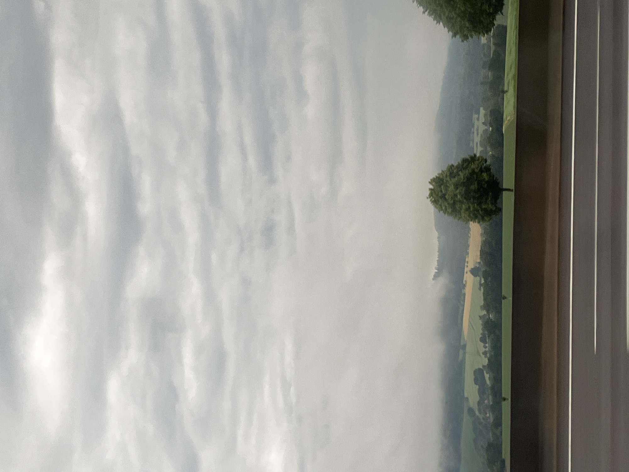 The image depicts a cloudy, overcast day with a vast expanse of gray clouds dominating the upper portion of the frame. Below the clouds, a misty, hazy landscape unfolds, suggesting a rural setting. Rolling hills covered in dark green trees and lighter green fields are visible, with patches of yellow fields interspersed. The mist obscures some of the distant details, creating a soft, diffused effect. In the foreground, a brown barrier wall runs horizontally across the lower third of the image, separating the view from what appears to be a roadway. Two white lines are painted on the dark gray surface of the roadway in the bottom section of the image. Two prominent, full trees stand in the middle ground, one on the left and a portion of another on the right, adding vertical elements to the otherwise horizontal composition of the landscape. The scene appears to be located near Pohle, Germany, given the context provided.