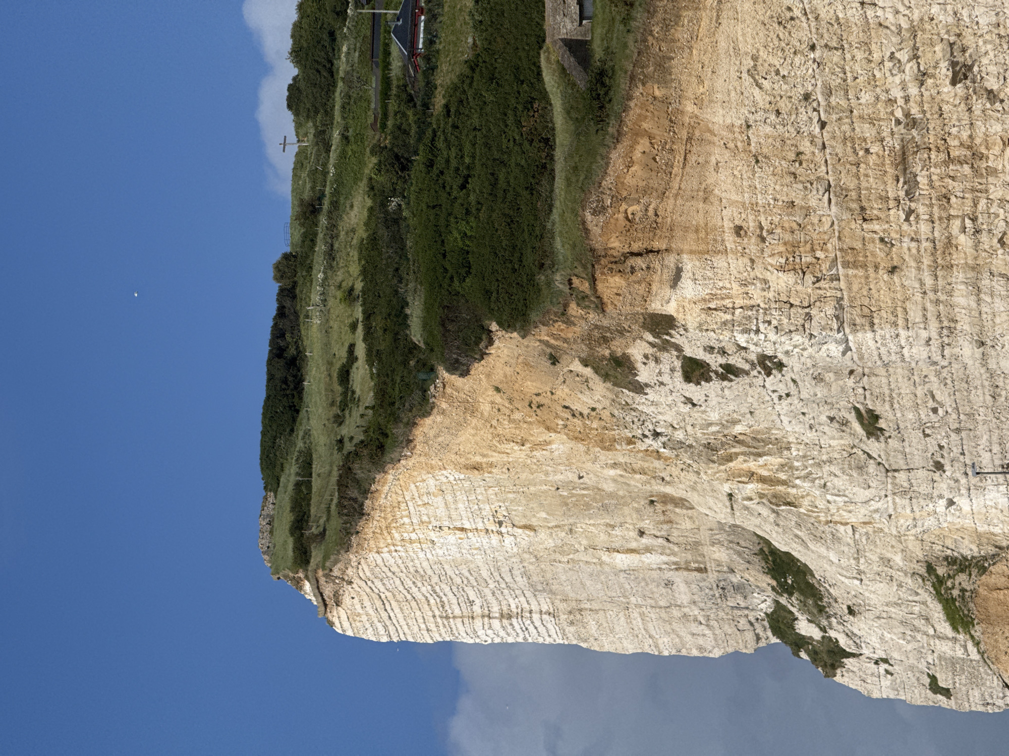 The image displays a dramatic coastal landscape featuring a towering, light-colored chalk cliff, topped by a verdant clifftop, all set against a clear blue sky. The perspective appears to be from below or across, looking up at the imposing natural formation.
The expansive cliff face, occupying the left and lower-left areas of the frame, is characterized by distinct horizontal stratifications, indicating layers of rock. Its surface is rugged, marked by numerous cracks, fissures, and varying textures. Patches of darker coloration suggest dampness or different mineral deposits, and some dark green vegetation sparingly clings to its vertical surfaces in crevices.
Above the cliff, to the right, is the clifftop, densely covered with lush, dark green vegetation, including thick bushes and grass. Subtle signs of human activity are present: in the upper right, vague outlines of buildings with roofs are discernible amidst the greenery. Further along the clifftop, a wooden cross or signpost stands erect, and a fence line can be faintly seen traversing the grassy slope.
The upper part of the image is filled with a vast, clear blue sky. A few scattered white clouds are visible, primarily towards the lower edge of the sky. A very small, distant white object, possibly a bird or a small aircraft, is noticeable against the blue expanse.
The scene depicts a sunny, clear day, evoking a sense of natural majesty and peacefulness. The appearance of chalk cliffs aligns with the provided location context of Fécamp, France, known for its picturesque Normandy coastline. There is no visible text in the image.