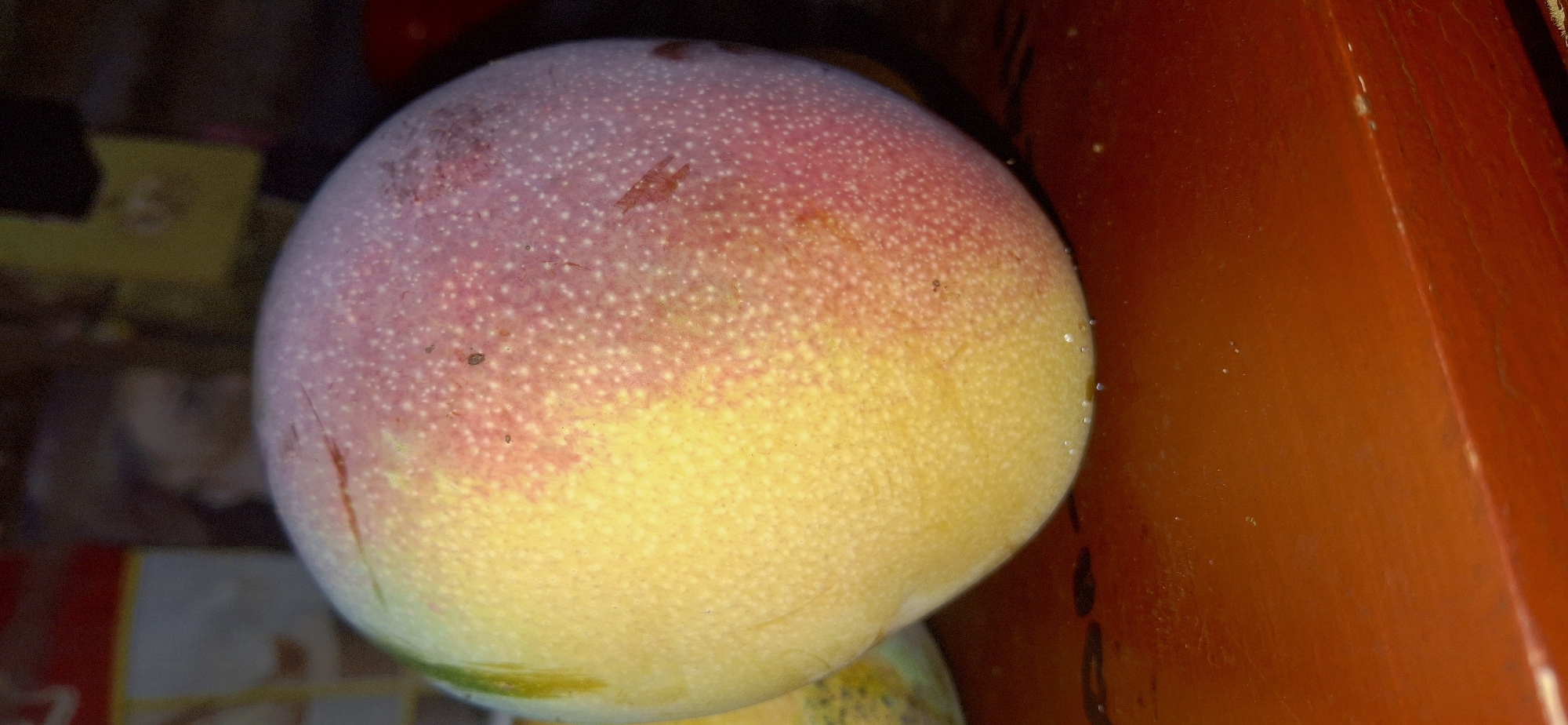 A close-up, low-angle shot focuses on a ripe mango placed on a shiny, orange surface, likely a table or countertop. The mango exhibits a gradient of colors, transitioning from a bright yellow on the left to a reddish-pink hue on the right, with numerous small, white speckles visible across its skin. A faint green streak is present on the far left edge of the fruit. The surface beneath the mango appears to be wet, with small water droplets and smudges visible, particularly along the bottom edge of the fruit. The background is dark and out of focus, with blurred shapes suggesting objects or people in the distance. The overall impression is one of a single, ripe fruit resting on a polished surface. This scene is located in Vallecito, Venezuela.