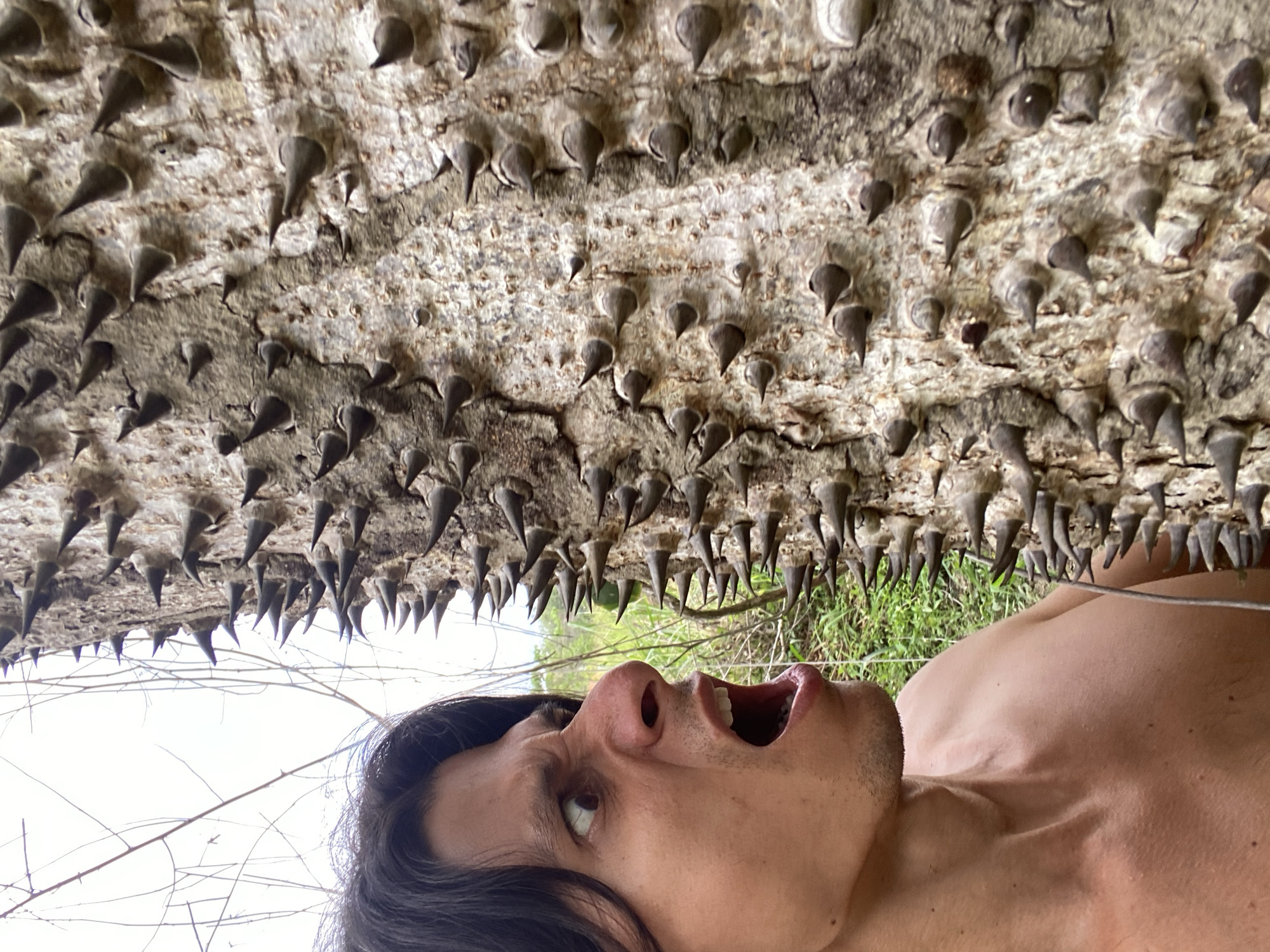 A medium shot captures a man's face and upper torso from the left side of the frame, with his mouth open in a gasp and his eyes wide with surprise. He is looking towards the right of the frame at a tree trunk covered in sharp, conical spikes. The man's skin is tanned, and he has dark hair. The tree trunk, the main subject on the right, is rough and textured, with numerous large, dark spikes protruding from its surface. The background consists of a bright, overcast sky and hints of green foliage, suggesting an outdoor environment, possibly in Los Velásquez, Venezuela, though the exact location cannot be definitively confirmed from the image alone. The overall impression is one of startled discovery in a natural setting.