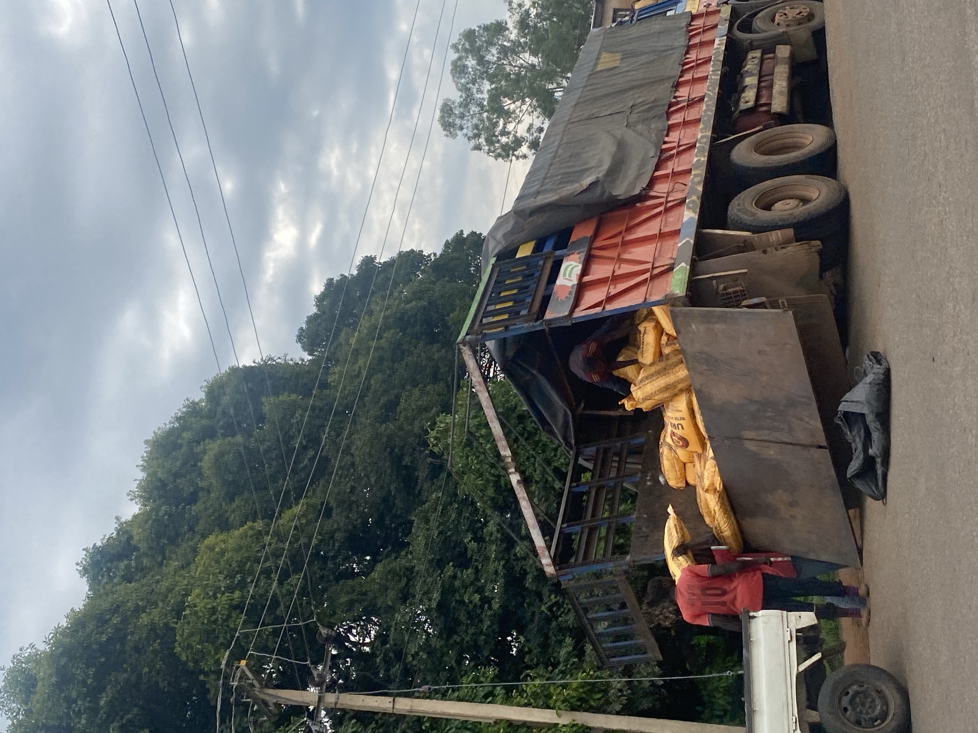 In the city of Jos, Nigeria, a scene unfolds on an asphalt road adjacent to a dense canopy of green trees and a utility pole with visible wires. A large, red and blue truck, partially covered by a gray tarp, is parked. The truck's cargo appears to be numerous large, yellow bags, some of which are spilling out from the open rear of the truck bed. Two individuals are visible in the process of interacting with the cargo. One person, wearing a red t-shirt with the number "10" on the back, is standing next to the truck bed, and another person is partially visible inside the truck. A white pickup truck is parked to the left of the larger truck. A black garbage bag lies on the ground in front of the truck's rear. The sky above is overcast with visible clouds.