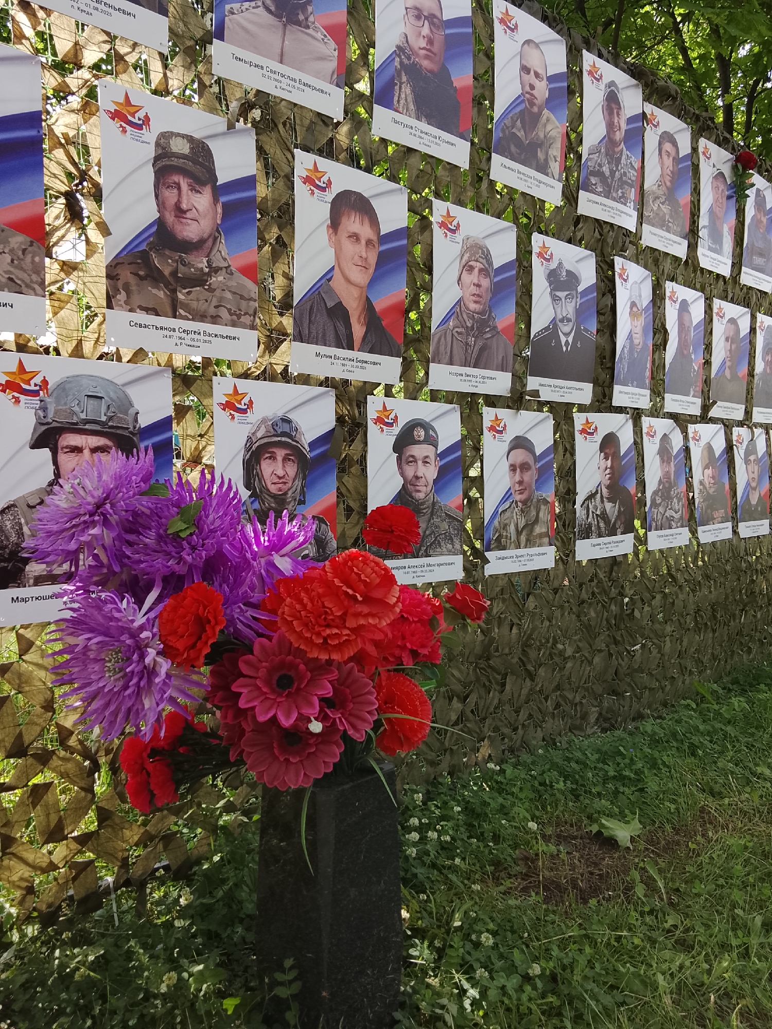 The image depicts an outdoor commemorative display, likely a memorial, situated in a grassy area, possibly a park, in the city of Kuyeda, Russia.
The primary subject is a vertical arrangement of numerous rectangular portrait photographs affixed to a camouflage netting. This netting, featuring a pattern of greens and browns, is stretched over what appears to be a fence or support structure, forming a visual "wall." The portraits are printed on white boards, each featuring a background design incorporating the colors and stripes of the Russian flag (white, blue, red) and a red star emblem with the text "ПОБЕДА БУДЕТ ЗА НАМИ" (Victory will be ours) and "РОССИЙСКИЕ ЗАЩИТНИКИ" (Russian Defenders).
Each portrait displays an individual, predominantly men, many of whom are depicted in military uniforms, tactical gear, or headwear. Below each portrait, text is visible in Cyrillic, identifying the person by full name (e.g., "Севастьянов Сергей Васильевич"), followed by dates of birth and death (e.g., "24.07.1964 - 05.01.2025"), and a place of origin (e.g., "Д. Р. Чикаши" or "д. Куеда"). Notably, several death dates listed extend into the future (e.g., January 5, 2025, or May 24, 2024, if the image was taken earlier than these dates), which is an unusual detail for a memorial.
In the lower-left foreground, a dark, polished, rectangular stone vase, likely made of granite, holds a vibrant bouquet of artificial flowers. The bouquet comprises large blossoms in shades of purple, red, and pink, interspersed with some green artificial foliage.
The ground beneath the memorial is covered with green grass, interspersed with patches of white clover flowers. A small area of disturbed earth or bare soil is visible directly in front of the vase. The background shows glimpses of natural trees and foliage under bright daylight, suggesting an open-air environment. The overall lighting casts soft shadows, indicating a sunny day.
