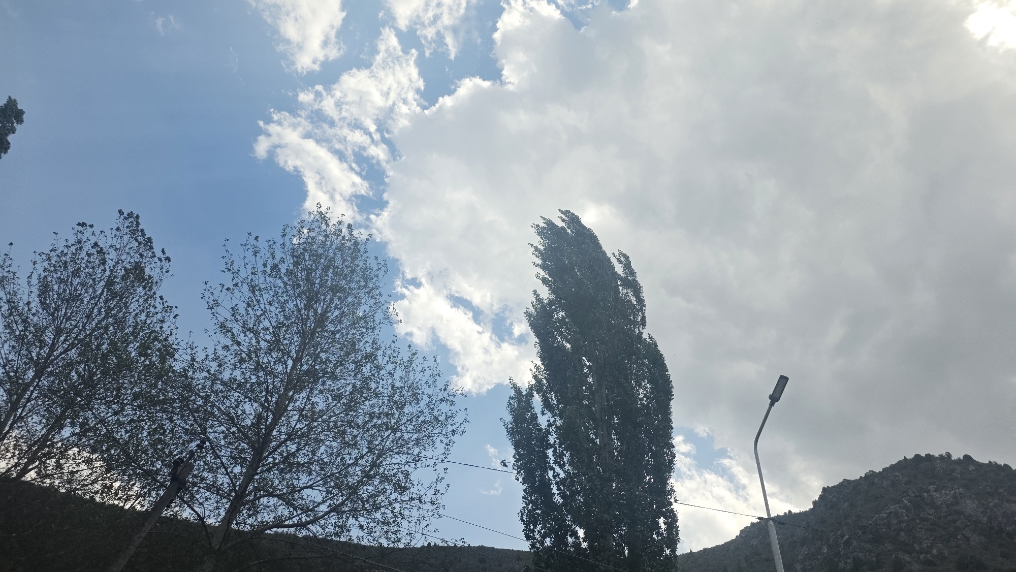 The image shows a view of the sky with clouds, trees, a lamppost, and a mountainous landscape, potentially in Taldyk, Kyrgyzstan. Two tall, slender trees with sparse foliage are visible on the left, silhouetted against a bright sky with scattered white clouds. To the right, a very tall, dark tree dominates the mid-ground, its leaves appearing denser. A modern lamppost with a black fixture extends upwards from the lower right corner, angling towards the tall tree. In the background, a rugged, rocky mountain slope is visible under a sky filled with a mix of bright blue patches and heavy, grey clouds. The overall lighting suggests an overcast or partly cloudy day. There are no people or animals clearly visible in the frame. The scene appears to be an outdoor environment, possibly on the outskirts of a settlement due to the presence of both natural elements and man-made structures like the lamppost.