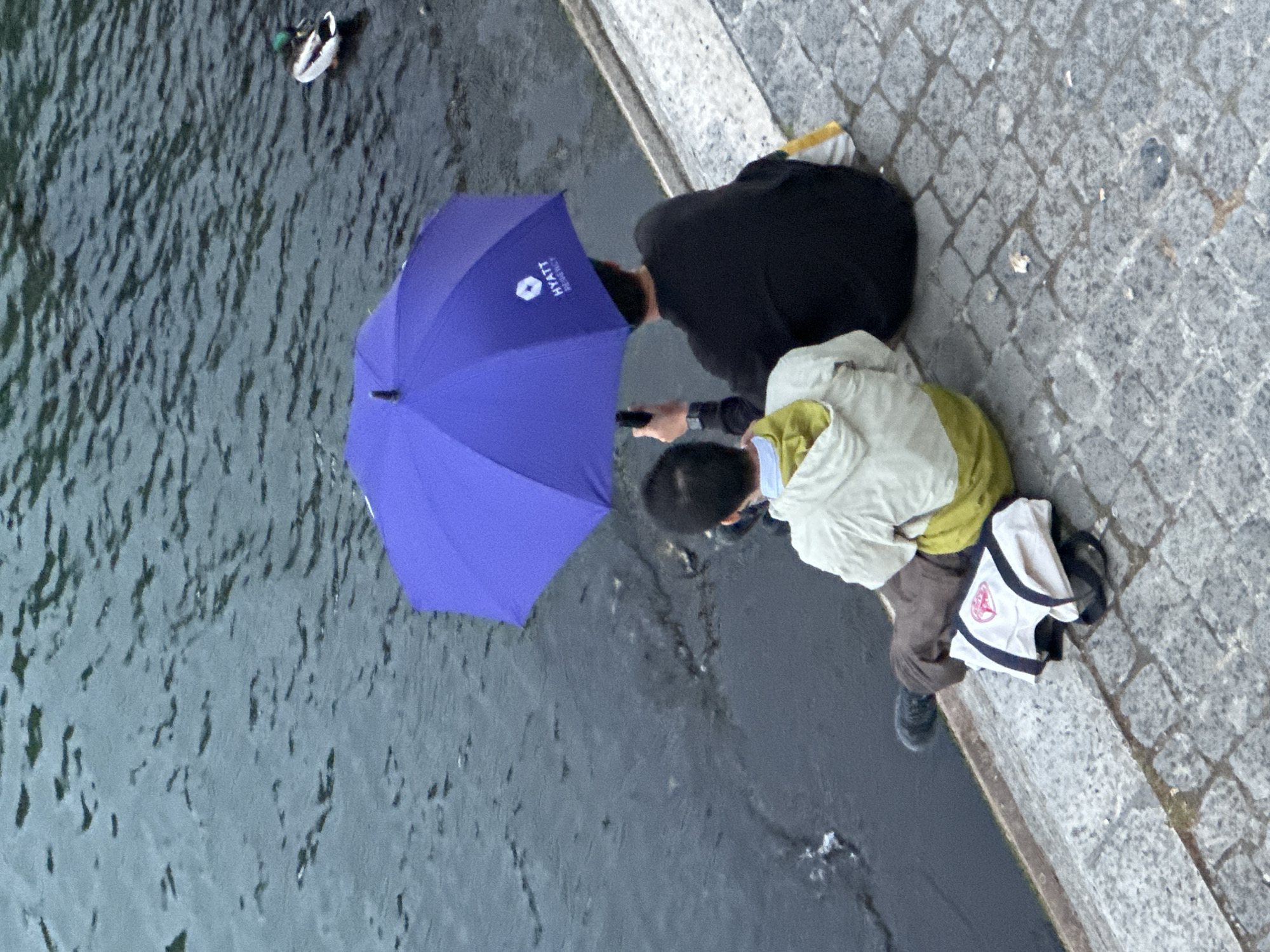 From an elevated perspective, the photograph depicts two people beside the Seine River in Paris, France. The river, characterized by its dark, choppy surface, features a duck swimming near the upper left corner. The riverbank is made of cobblestone, against which the two individuals stand.
One person, positioned closest to the river's edge, holds a blue umbrella branded with "HYATT REGENCY" and is dressed in a black jacket. The second individual, to the right, wears a light-colored jacket with a greenish hue and brown pants. They also have a bag with black and white trim beside them. They are positioned near the river's edge and appear to be looking down at the water.