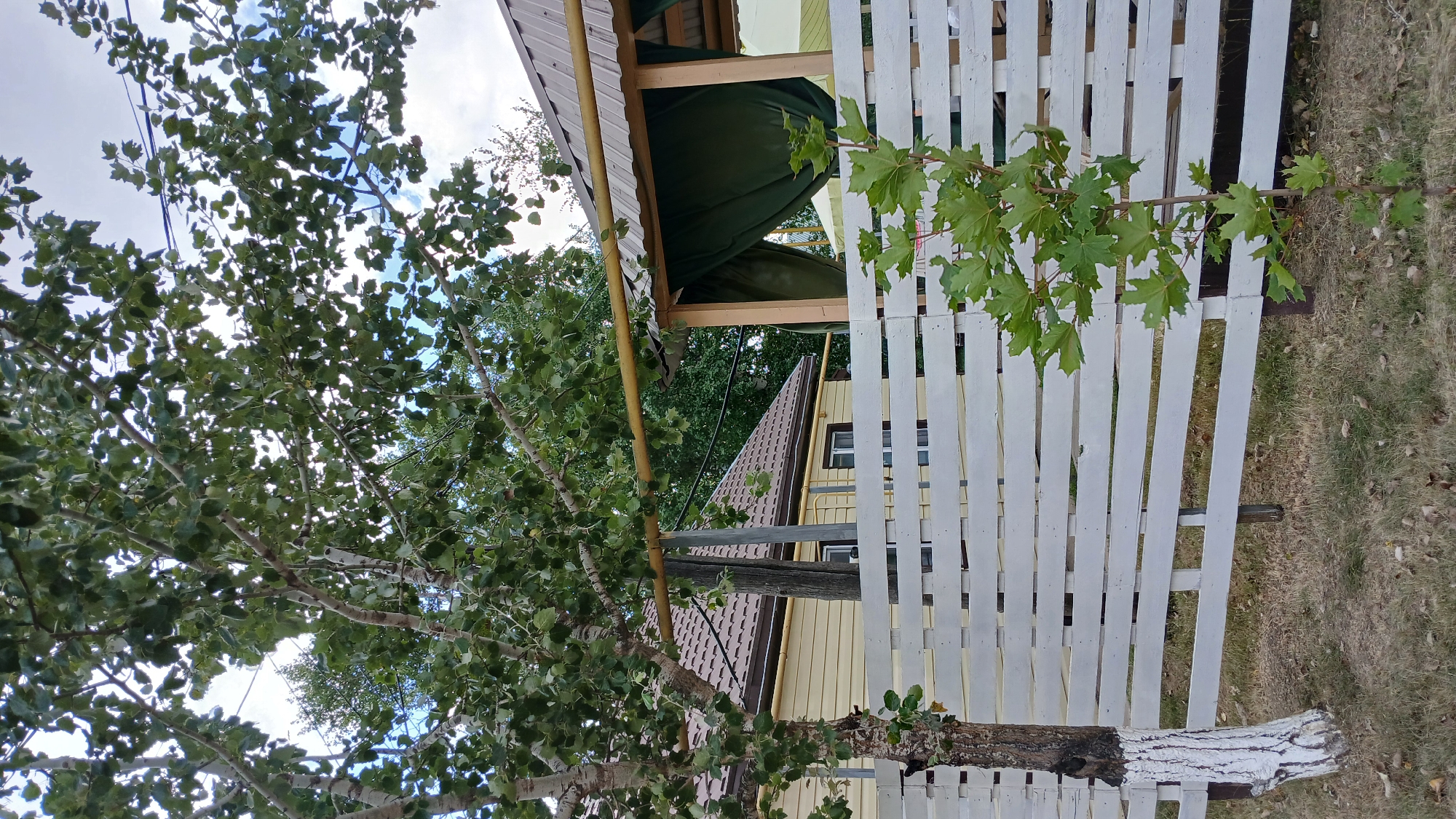 The image depicts an outdoor scene in Derköl, Kazakhstan. In the foreground, a white wooden fence runs horizontally across the frame, constructed from horizontal planks. To the left of the fence stands a tree with a white-painted base and sparse green foliage. To the right of the fence, a young sapling with bright green leaves is visible.

Behind the fence, a yellow house with a brown tiled roof is partially visible. Further in the background, a gazebo with a metal roof and dark green curtains can be seen. Green trees and foliage are present throughout the scene, suggesting a natural or semi-rural environment. The sky above is partly cloudy. There are no people or animals in the image. The overall impression is a residential outdoor space, possibly a backyard or garden.