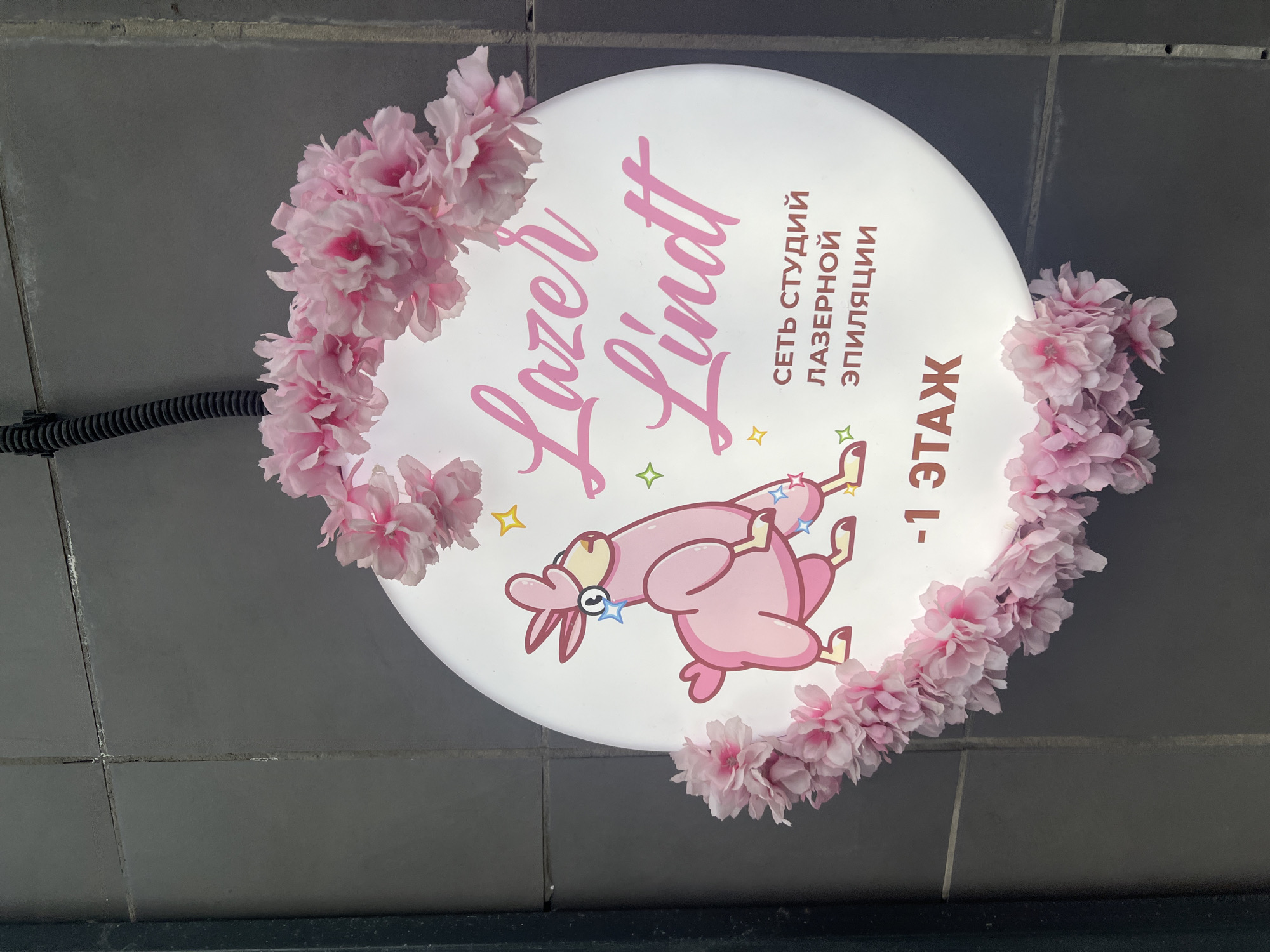 A white round sign with pink flowers around the border hangs on a gray tiled wall. The sign reads "Lazer Lindt" in pink cursive letters. Below that is a cartoon image of a pink llama lying on its back. To the right of the name is the text "СЕТЬ СТУДИЙ ЛАЗЕРНОЙ ЭПИЛЯЦИИ" in Russian, which translates to "NETWORK OF LASER EPILATION STUDIOS". Below that text, it reads "-1 ЭТАЖ" in Russian, which translates to "-1 FLOOR". A black cord is visible to the left of the sign. Based on the sign's branding, the image is likely taken at the Lazer Lindt location in Mytishchi, Russia.