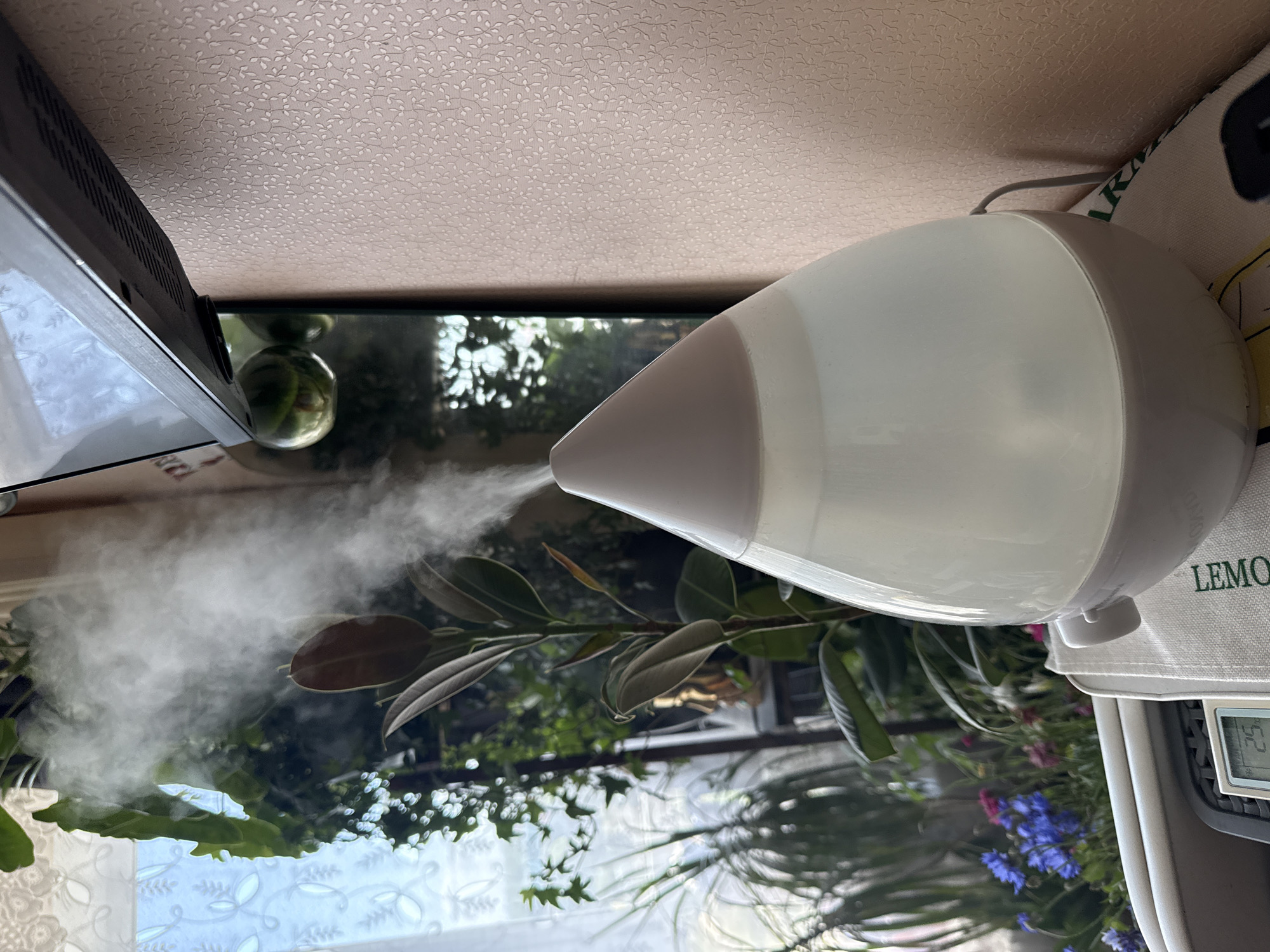 This image shows an ultrasonic humidifier releasing a fine mist in a domestic indoor setting. The humidifier is a teardrop-shaped device with a translucent white tank and a light pink lid. It is positioned on a surface, possibly a table, next to a wall with textured wallpaper. In the background, a large ficus plant with dark green leaves and reddish-brown new growth is visible. Beyond the plant, a window reveals a view of other greenery, including what appear to be small blue and pink flowers, suggesting a balcony or garden area. A television screen is partially visible in the upper right portion of the image, reflecting ambient light. A digital display showing "25" is visible on a device in the lower left corner, possibly a thermometer or thermostat. The scene appears to be a calm, indoor environment, likely a living room or bedroom, where the humidifier is being used to increase air moisture. The presence of houseplants and the natural light from the window suggest a daytime scene. The location of the image is not specified within the image itself, and therefore its exact location in Kyiv, Ukraine, cannot be determined from the visual information provided.