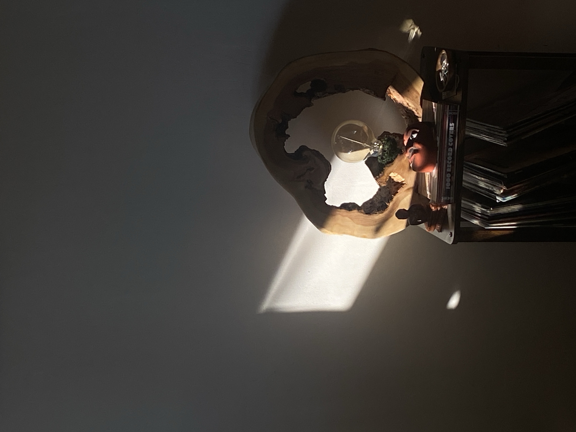 The image shows a dimly lit room, possibly a home or studio, in Shebunino, Russia. The scene is dominated by strong natural light filtering in from the left, casting a sharp diagonal beam across the wall and onto a wooden surface. This wooden surface appears to be part of a unique lamp, made from a slice of a tree trunk with a natural, irregular opening. Inside this opening, a vintage-style lightbulb is visible, emitting a warm glow.
To the right of the lamp, a black shelf unit is partially visible, filled with what appear to be vinyl records. One stack of records has a visible spine with text that reads "1000 RECORD COVERS." A small, reddish-brown, cartoonish figurine is placed on the shelf, appearing to interact with the lamp. The overall mood is serene and contemplative, with the play of light and shadow creating a dramatic effect. The time of day is suggested to be late afternoon or early morning, given the long shadows and the angle of the sunlight. No specific weather conditions are apparent, but the strong light implies a clear day.