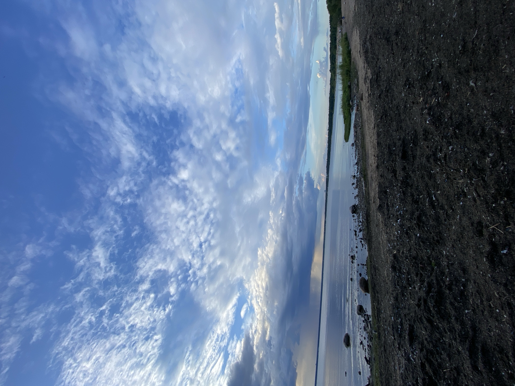 The image depicts a low-angle view of a lake shore in Sestroretsk, Russia, under a dramatic sky filled with dynamic clouds. The foreground is dominated by dark, coarse soil or mulch, possibly from recent landscaping or natural debris. Scattered stones of varying sizes are visible along the water's edge, leading into the calm, reflective surface of the lake. The far shore features a thin line of green vegetation and trees, with a distant, hazy horizon suggesting a sprawling landscape. The sky is a prominent feature, characterized by a gradient of blue, transitioning from a lighter hue near the horizon to a deeper shade overhead. Wispy, white clouds are interspersed with larger, darker formations, some of which appear to be carrying rain, creating a sense of impending weather. The overall scene conveys a natural, somewhat rugged, and atmospheric environment.