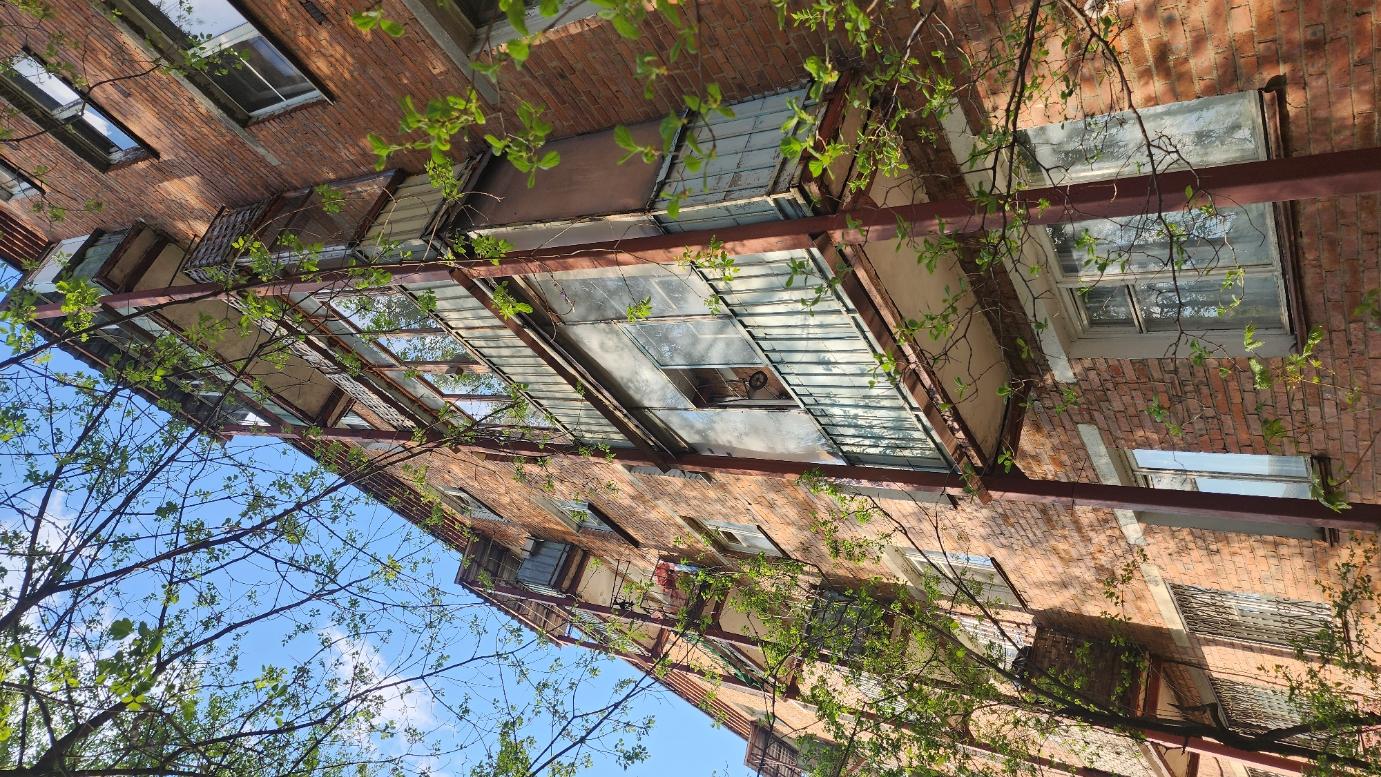 The image depicts the exterior of a brick building in Zelenograd, Russia. The building has multiple windows and a rusted metal canopy-like structure extending outwards. The canopy has sections with transparent or translucent panels. Green foliage from nearby trees partially obscures the view of the building and the blue sky. The image is taken from a low angle, looking upwards at the building. One window is open. There is an object that looks like a wheel in one of the open windows.