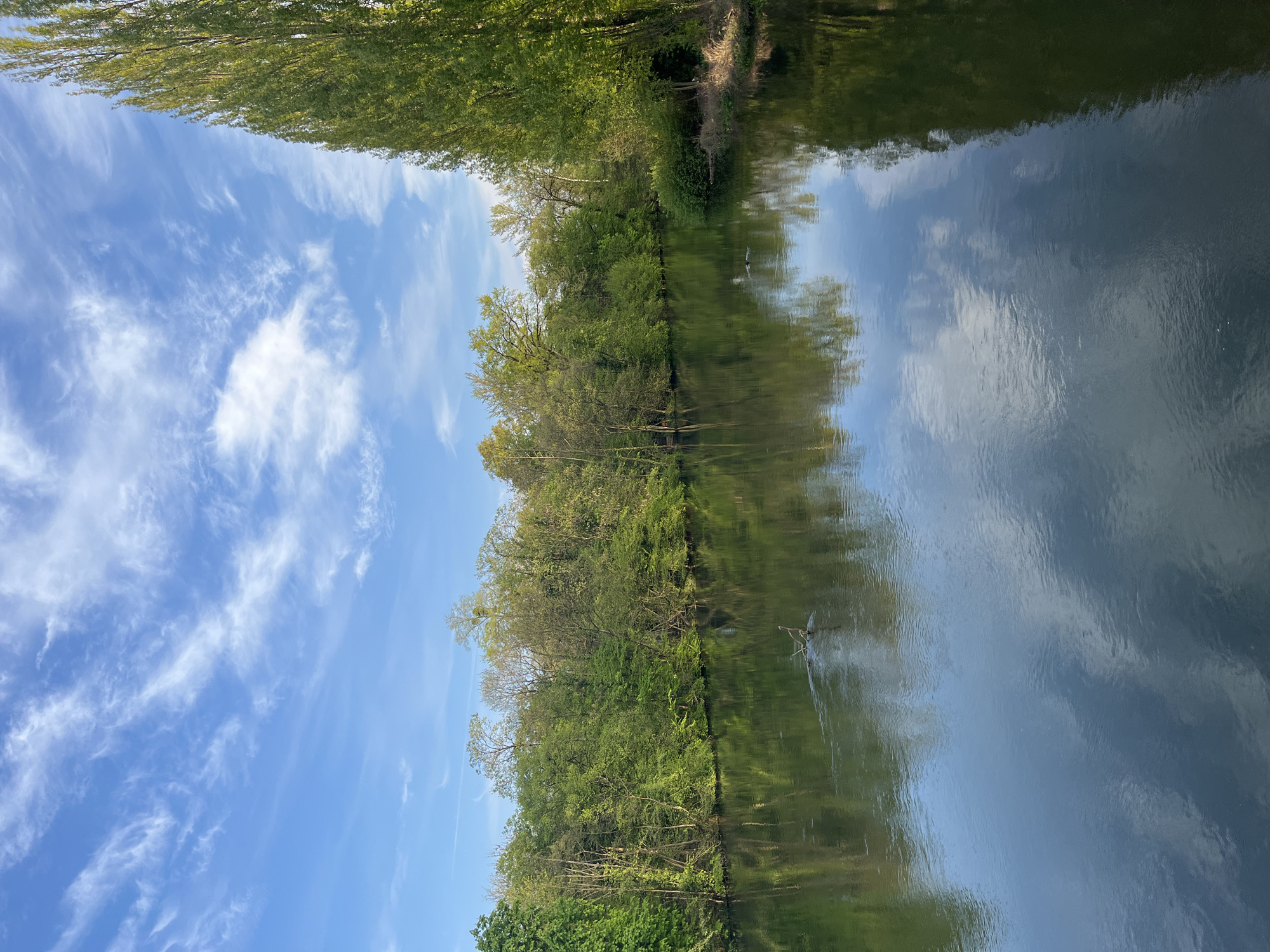 The image depicts a canal or river reflecting the sky and trees, taken in Geispolsheim-Gare, France. The sky is blue with cirrus clouds. Trees line both sides of the water, and their foliage is predominantly green. There is an indistinct object or creature standing in the water along the treeline. The water is calm.