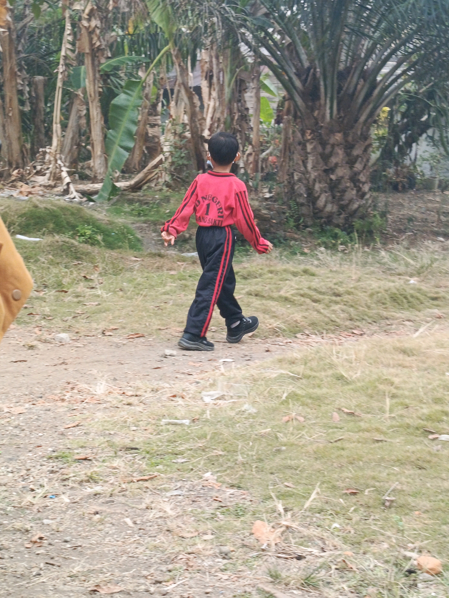 The image depicts a young child, from the rear, walking on a dirt path in an outdoor setting. The child is wearing a red long-sleeved shirt with black stripes on the sleeves and black pants with red stripes. The shirt has text on the back that appears to read "NEGERI" and "BANG SAKTI", suggesting a connection to a school or institution in Megang Sakti, Indonesia. The child is also wearing black athletic shoes. To the left of the child, a portion of another person wearing a tan jacket is visible. The background is characterized by lush vegetation, including banana trees and a palm tree, along with dry grass and scattered leaves on the ground. The environment appears to be a rural or semi-rural area. The lighting suggests it is daytime.