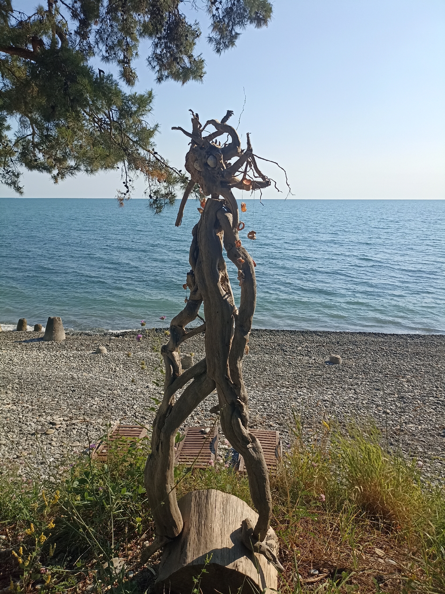 The image depicts a driftwood sculpture placed on a pebble beach facing the Black Sea in Sochi, Russia. The sculpture, made of twisted, weathered wood, resembles a standing figure with intricate branches forming its head and limbs. Several small, orange-colored objects, possibly seashells or beads, are hanging from the sculpture.
The scene is set under a clear, blue sky, suggesting fair weather. A large pine tree with lush green needles overhangs the scene from the upper left, casting some shade. The calm, blue water of the sea stretches to the horizon. The beach is covered with smooth, grey pebbles, and in the distance, concrete barriers are visible along the shoreline. A wooden bench is partially visible behind the sculpture, hinting at a recreational area. Lush green grass and wild flowers grow around the base of the sculpture and on the edge of the beach. The overall impression is one of a serene and artistic natural setting, likely during the daytime given the bright sunlight. There is no visible text in the image.