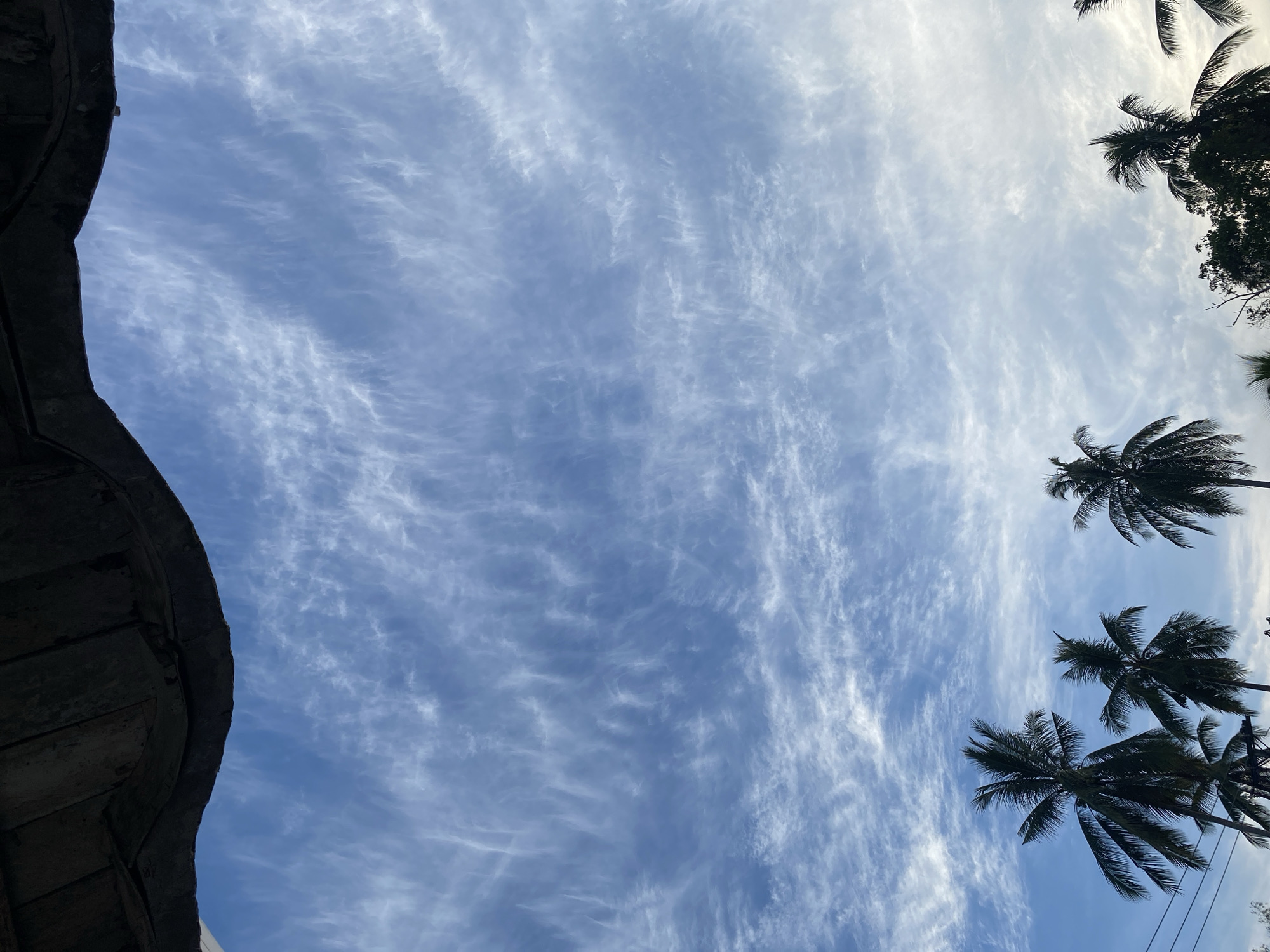A low-angle shot, taken in Keudeublang, Indonesia, captures a bright blue sky dominated by thin, wispy white clouds that extend across the frame, suggesting fair weather. Silhouetted against this expansive sky, several palm trees with distinct fronds are visible along the right side and upper right corner of the image. On the left side, a dark, curved architectural element occupies a significant portion of the frame, appearing to be made of wood or weathered material, possibly the underside of a roof or a similar structure. The perspective is directed upwards, presenting a tranquil daytime scene with no discernible activity or visible text. The composition highlights the contrast between the vibrant sky and the dark, natural and man-made elements.