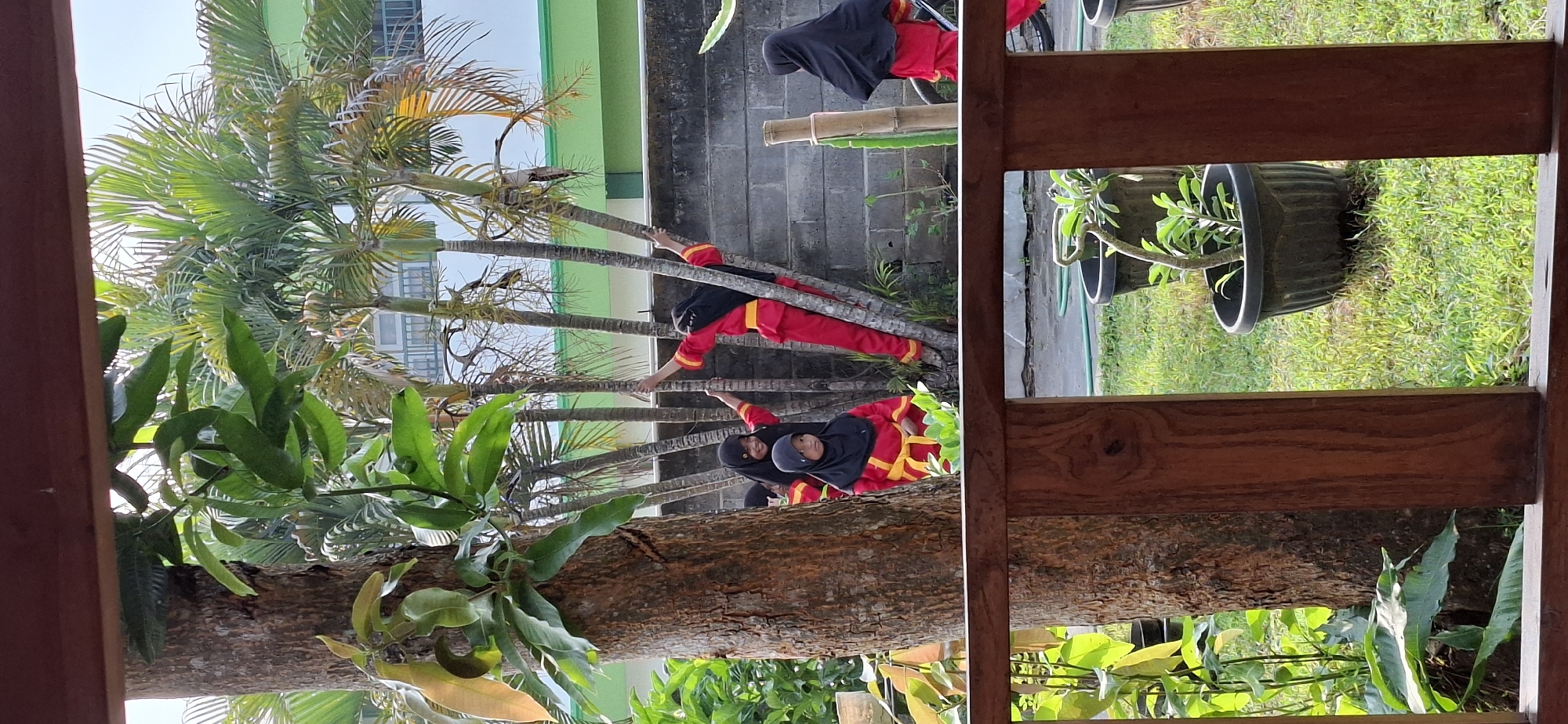 In Wonorejo, Indonesia, four young girls in matching red and yellow martial arts uniforms with black hijabs are engaged in outdoor activities near a building. Two girls are positioned amongst palm trees, with one reaching up to grasp a trunk and another smiling and looking towards the camera. A third girl, also in uniform, is standing further back, facing away from the viewer. A fourth girl, in the same attire, is visible in the background to the right, with her back to the camera. The scene unfolds in a grassy area with several potted plants and a brick wall behind the figures. The presence of palm trees and the distinct architecture of the building suggest a tropical or subtropical environment.