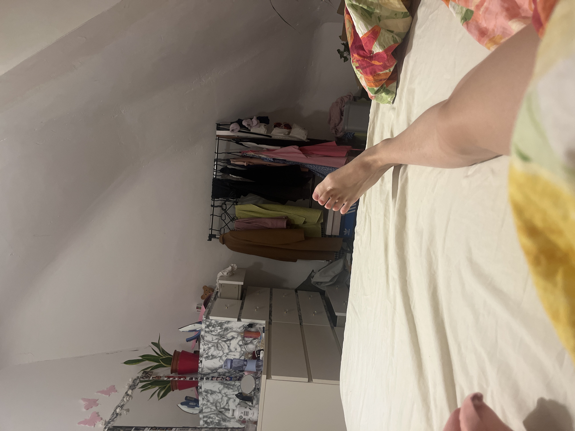 A person is lying on a bed in a room with a slanted ceiling. The room contains a garment rack filled with clothing and a set of drawers. There is a plant on a shelf near the drawers. The location is presumed to be in Saarbrücken, Germany.