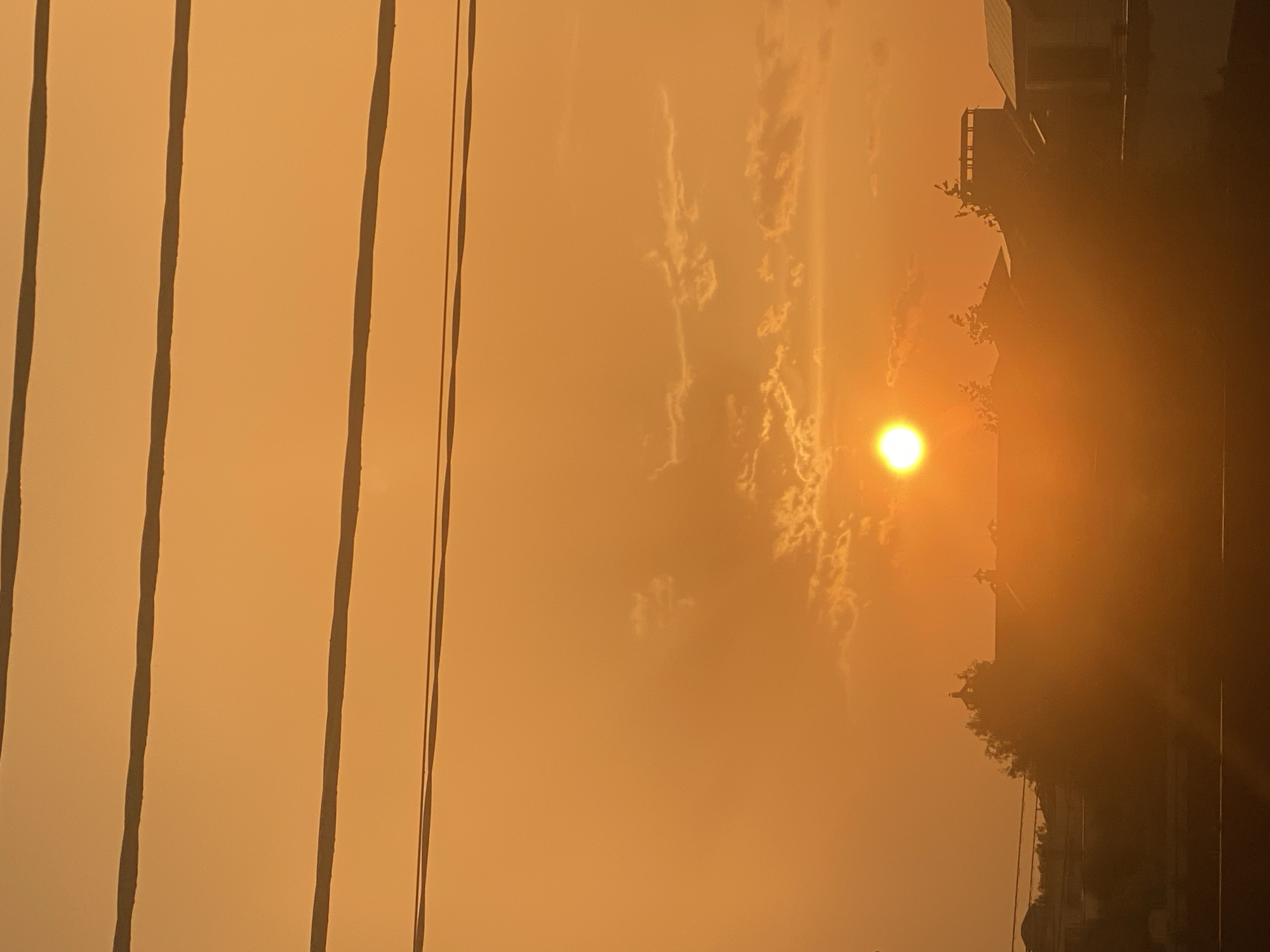 This media file captures a sunset with an orange hue in Novi Petrivtsi, Ukraine. The scene is dominated by vertical elements, with thick dark lines representing power lines or cables on the left side of the frame. To the right, the sun is visible as a bright, glowing orb, casting a warm light and creating a hazy atmosphere. Wispy clouds are scattered across the sky, catching the sunset's light.
Partially obscured by the sun's glow and the overall haze is a building or structure on the right side of the image, with architectural details and some foliage visible at its base. The light suggests it is either early morning or late evening. The predominant colors are shades of orange and yellow, with darker tones from the cables and the building. There are no people visible in the image. The overall mood is serene and tranquil, typical of a sunset. No text is visible in the media file.