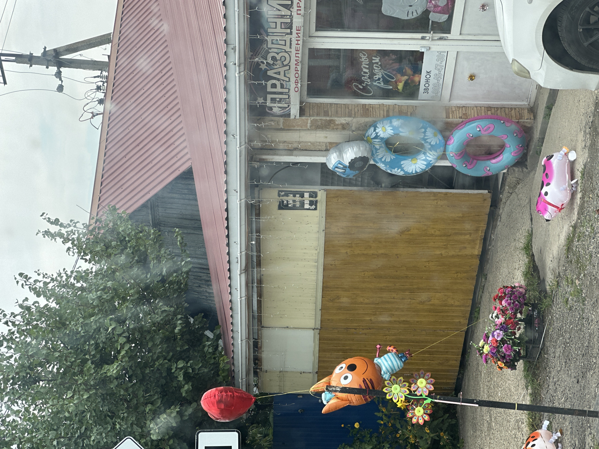 This image captures a storefront in Novotitarovskaya, Russia, adorned with various decorations. In the foreground, a red heart-shaped balloon floats above a colorful cartoon character balloon resembling a cat with blue and white striped clothing, attached to a pole with pinwheel-like flowers. To the right, a stack of three inflatable rings are displayed, with the top one silver and resembling a tractor, the middle one blue with white daisies, and the bottom one blue with pink flamingos. A pink and white dog-shaped balloon lies on the ground in front of the rings. The storefront itself has a large sign with Cyrillic lettering that appears to read "ПРАЗДНИ" and "ОФОРМЛЕНИЕ" (Decoration). A glass door reveals the interior with a floral display and a sign that says "Счастье рядом" (Happiness is nearby). A white car is partially visible on the right side of the image. The scene is set against a backdrop of a red corrugated metal roof and a wooden wall. The environment appears to be outdoors, with some greenery and pavement visible.