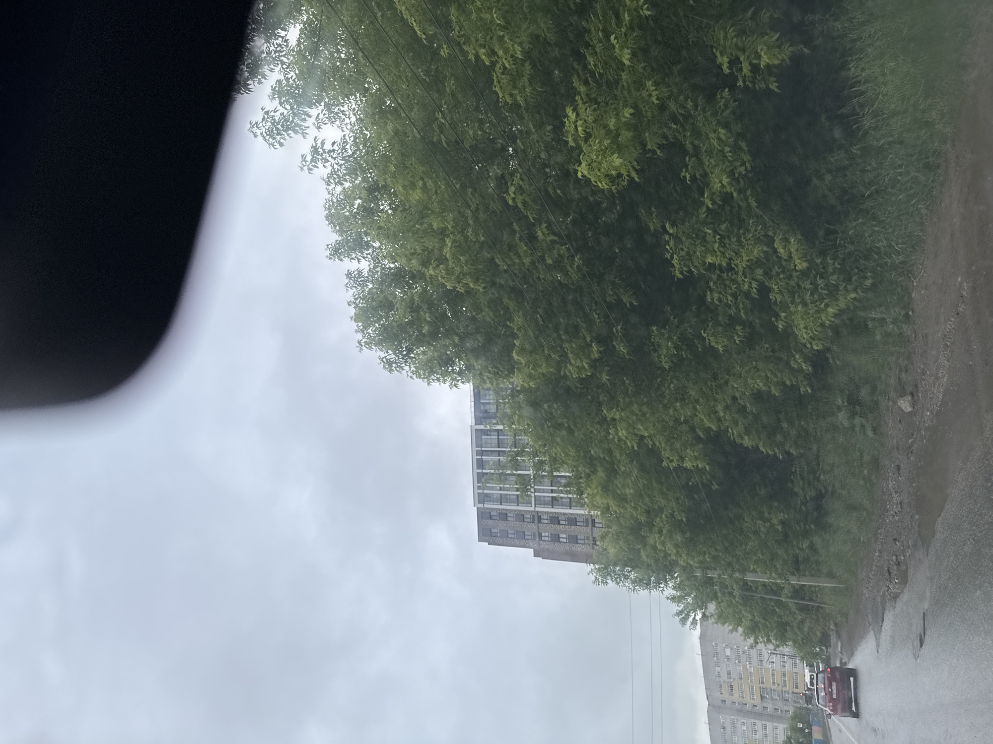 The scene depicts a street view in the city of Кондратово, Russia, under an overcast, light grey sky. The image appears to be captured from inside a vehicle, with a large, dark, out-of-focus curved object, consistent with a dashboard or rearview mirror, partially obscuring the upper right quadrant of the frame.
In the background, two multi-story buildings are visible. To the far left, an older, light-colored residential apartment block with multiple windows and balconies is present. To its right, partially obscured by trees, stands a taller, more contemporary building featuring a two-tone facade: darker, brick-like sections on the left and lighter sections with prominent vertical windows on the right.
The midground is dominated by a dense line of mature, deciduous green trees and shrubs, extending horizontally across the image and partially concealing the newer building. Several thin, dark utility lines are visible traversing through this foliage.
In the foreground, a wet asphalt road with numerous visible potholes and patches of standing water extends from the bottom left towards the center-right. A red sedan is prominently featured on this road, driving away from the viewer, with a partially visible white vehicle behind it. To the right of the road, a dirt and gravel shoulder, also wet and muddy, is present, bordered by tall green grass and weeds. A utility pole and a yellow traffic light are visible on the left side of the road, near the red car. No individuals are distinctly visible.