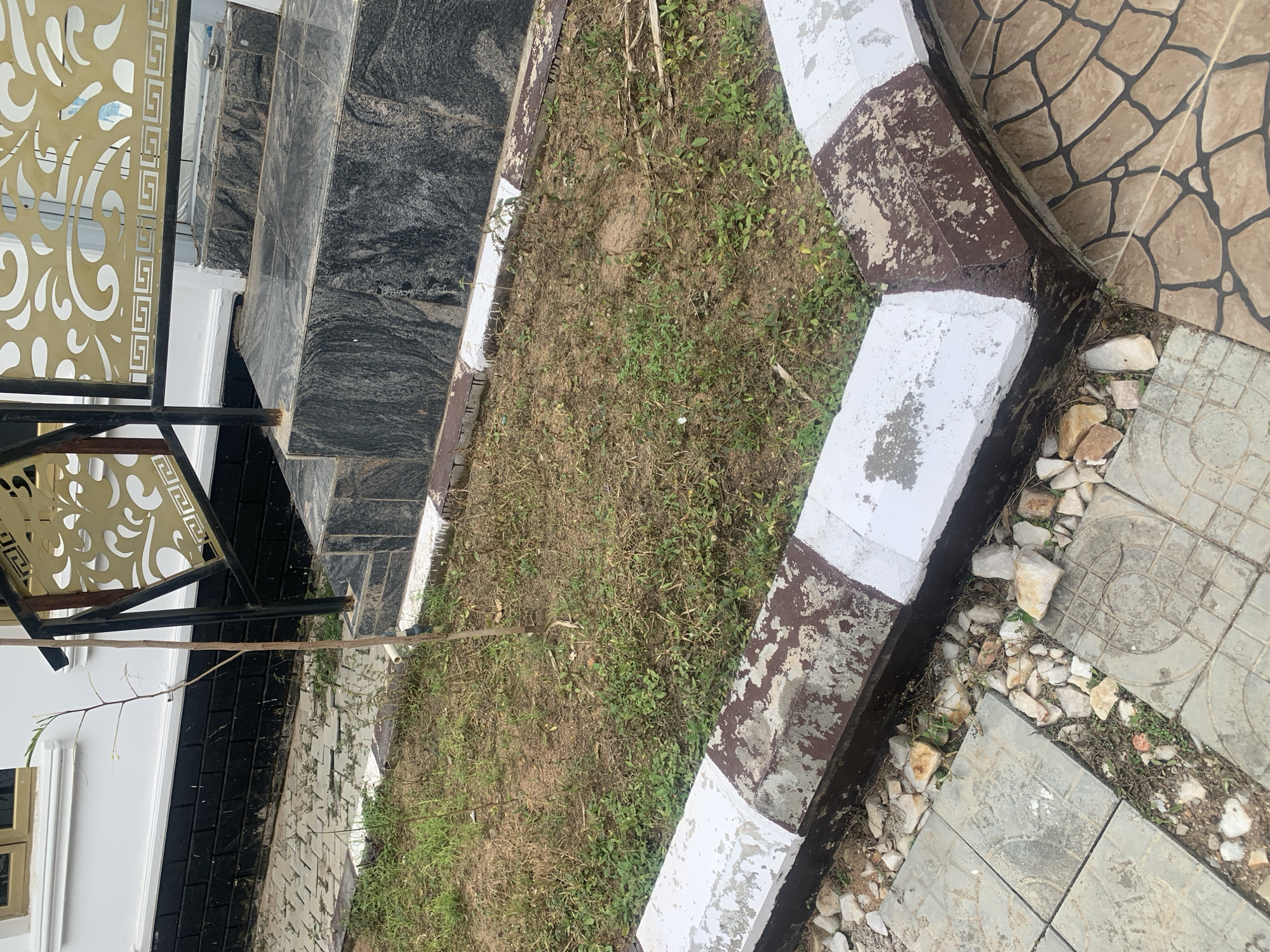 The image depicts an outdoor scene, likely a residential area in Jauro Yinu, Nigeria. The foreground shows a grassy area with some small weeds and a thin branch extending across the frame. A concrete border, painted with alternating white and dark brown sections, runs along the edge of the grass. Beyond the border, there are stone tiles with a patterned design and scattered rocks. In the background, granite-tiled stairs lead upwards, flanked by a decorative metal railing with a gold-colored, ornate pattern. Part of a white building with a window is visible on the left. The lighting suggests it is daytime, and the weather appears to be clear. There is no discernible activity or text in the image.