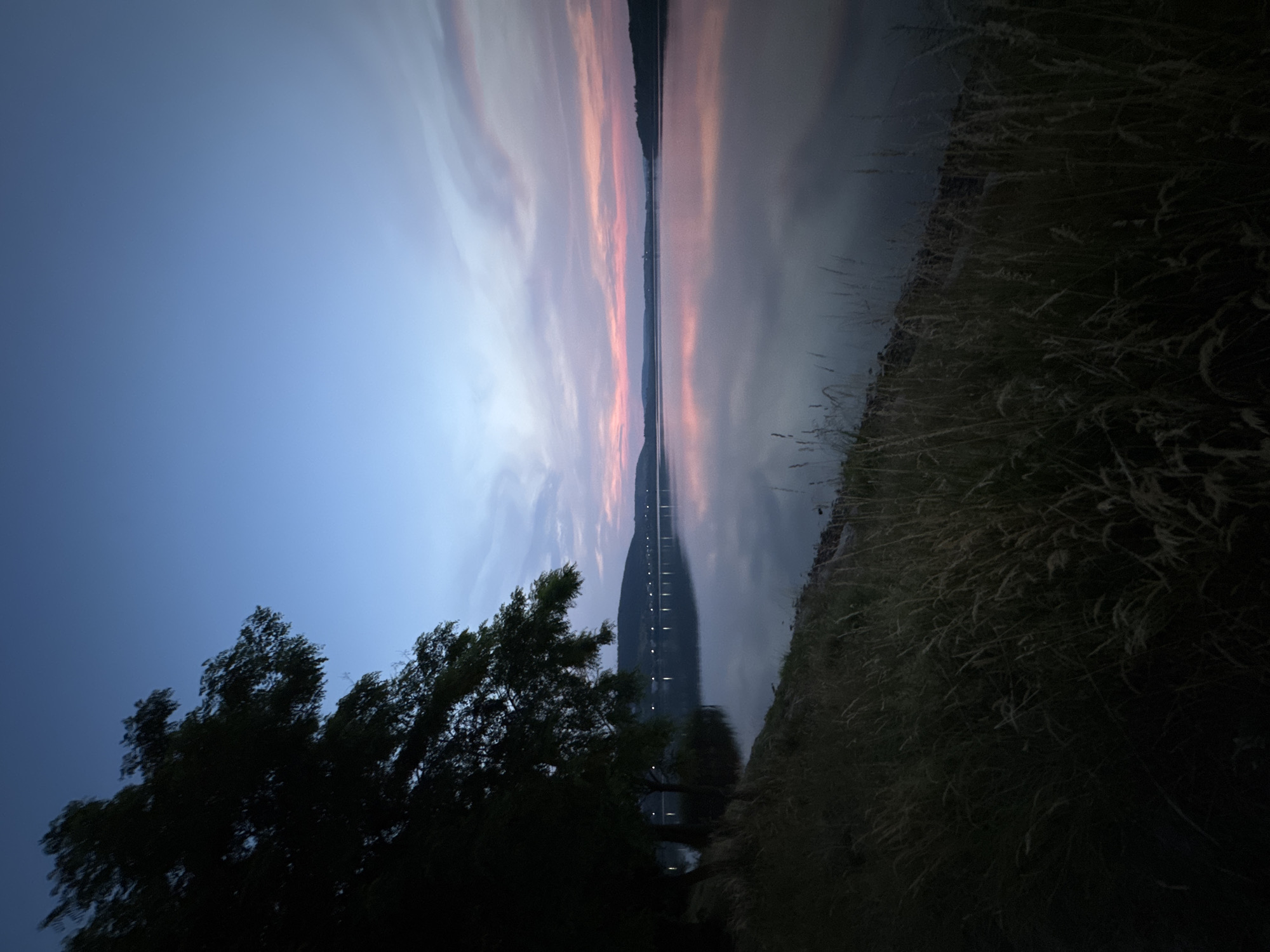 The image captures a serene twilight scene over a body of water, likely a reservoir or a large lake, in Berezhany, Ukraine. In the foreground, tall, dry grass and shadowed foliage line the bank of the water. A large, dark tree dominates the left side of the frame, its leaves silhouetted against the fading sky. Across the water, a distant shoreline is visible, marked by a gentle slope and dotted with faint lights, suggesting a town or settlement. The sky is a gradient of deep blue transitioning to lighter shades of blue and then into soft pink and lavender hues, indicative of sunset or sunrise. The water itself acts as a mirror, reflecting the colors of the sky and the distant lights, creating a symmetrical and tranquil ambiance. The overall impression is one of natural beauty and quietude.