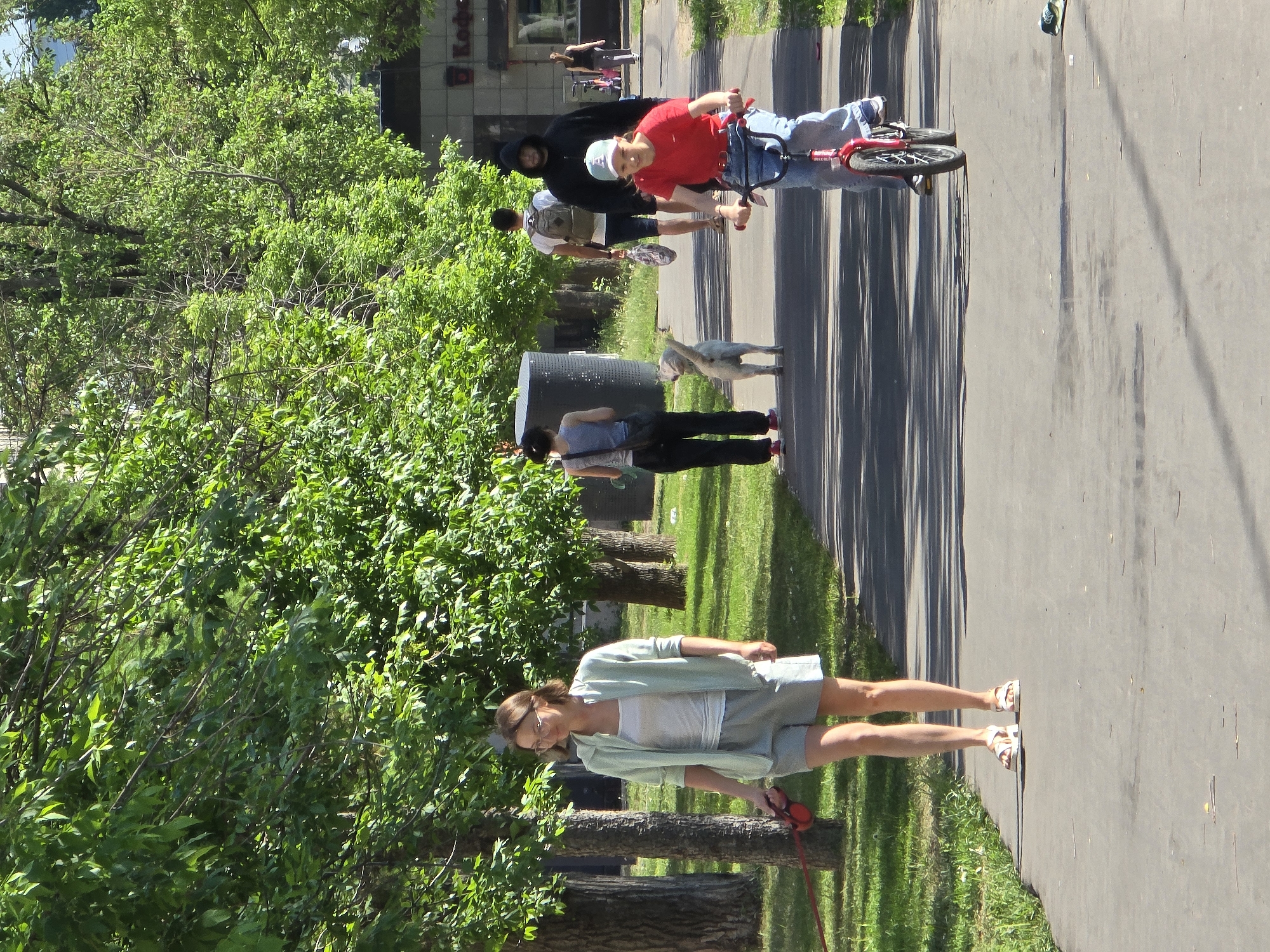 Here's a detailed description of the image:
**Scene:**
The photograph captures a sunny outdoor scene in what appears to be a park or pedestrian area. It’s a daytime shot with bright sunlight casting shadows.
**Location:**
Based on visual cues, this is Moscow, Russia.
**People:**
Several people are present in the image, including:
* A woman in the foreground, walking a dog. She's wearing glasses, a light-colored outfit, and sandals.
* A person riding a bike in the background, wearing a red shirt and jeans.
* Other pedestrians and figures can be seen in the middle ground.
**Subjects/Objects:**
* A dog on a leash, being walked by the woman.
* A bicycle being ridden along the path.
* Trees and greenery lining the sides of the path.
* A dark cylinder object.
* A paved path or walkway.
* Buildings are visible in the background.
**Actions/Interactions:**
* The woman is walking her dog.
* The person is riding a bike.
* Other people are walking along the path.
**Environment:**
* The setting appears to be an urban park or green space.
* The weather is sunny.
* The environment includes grass, trees, and paved areas.
* Buildings and structures are visible in the distance, indicating an urban setting.