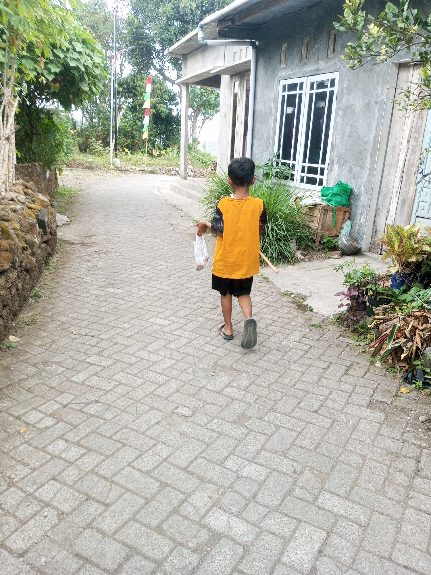 In Andongsili, Indonesia, a young boy walks away from the camera down a paved walkway. He is wearing an orange t-shirt with black sleeves and black shorts, and flip-flops. He is holding a plastic bag in his right hand and a stick in his left. The walkway is bordered by a low stone wall on the left and a house on the right. The house is made of concrete and has a white-framed window. There are plants and greenery around the house and along the walkway. A flag pole with a colorful flag is visible in the background. The scene appears to be in a residential area with a slightly rural feel.