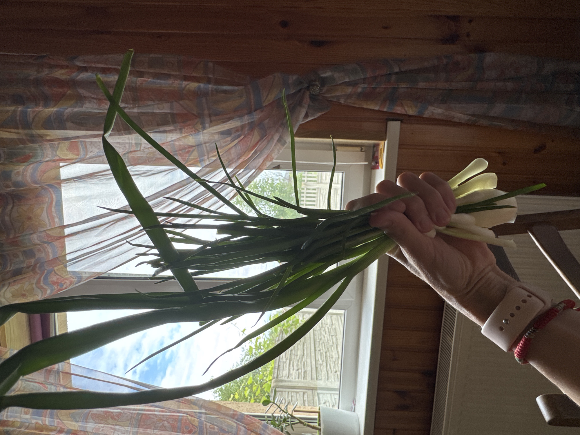 A person's hand holds a bunch of green onions in front of a window with sheer curtains. The window looks out onto a bright, partly cloudy sky and some green foliage. The room appears to be wooden-paneled, and a radiator is visible below the windowsill. The person is wearing a light-pink smartwatch and a red and grey braided bracelet on their left wrist.