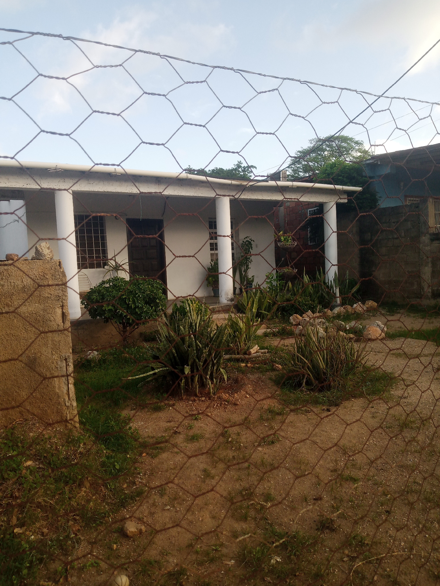 A wire mesh fence is in the foreground, obscuring a view of a white building with a covered porch supported by columns. There are windows with grates on the building, and a wooden door is visible. Plants, including what appear to be succulents and a small, leafy bush, are in front of the building. Rocks are scattered on the ground. The sky is overcast. The image appears to have been taken outdoors during the daytime.