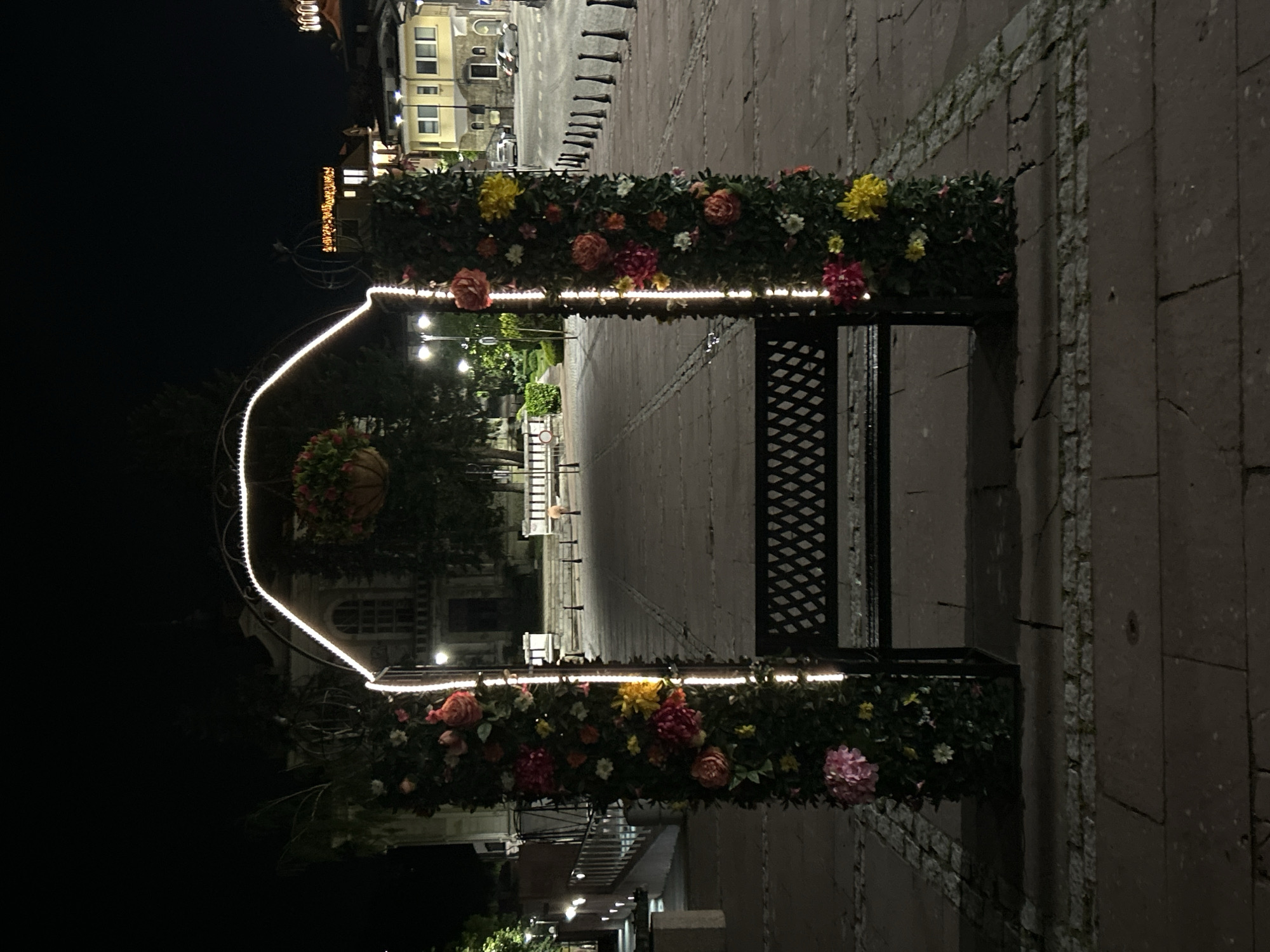 Here's a description of the image:
The image shows a night scene in Veliko Tarnovo, Bulgaria. In the foreground is a floral archway illuminated with string lights. The archway leads the eye down a paved path lined with bollards. The path extends into the distance, revealing street lamps and buildings on either side. The background is somewhat dark, but buildings are visible on either side of the path. Some buildings have visible lit windows.