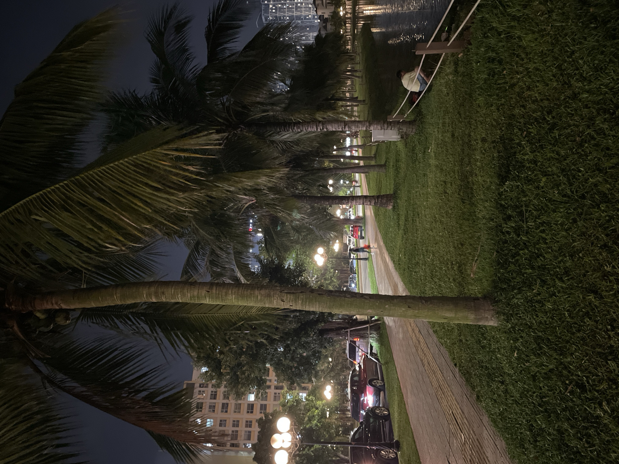The image depicts a nighttime scene in an urban environment, likely a park or waterfront promenade, in Hanoi, Vietnam. Several palm trees line the right side of a pathway, with their fronds extending towards the sky. Beyond the trees, a body of water is visible, reflecting the lights of buildings in the distance. A man wearing a light-colored shirt and shorts is seated on the grass near the water's edge, his back to the camera, looking towards the water.
To the left of the pathway, there is a row of streetlights illuminating the area. Several cars are parked along the side of the road, which runs parallel to the pathway. In the background, tall buildings with illuminated windows can be seen, suggesting a densely populated urban area. The overall atmosphere is serene and illuminated by artificial light, with the dark sky indicating it is nighttime. The pathway appears to be paved with stone, and the grassy area is well-maintained.