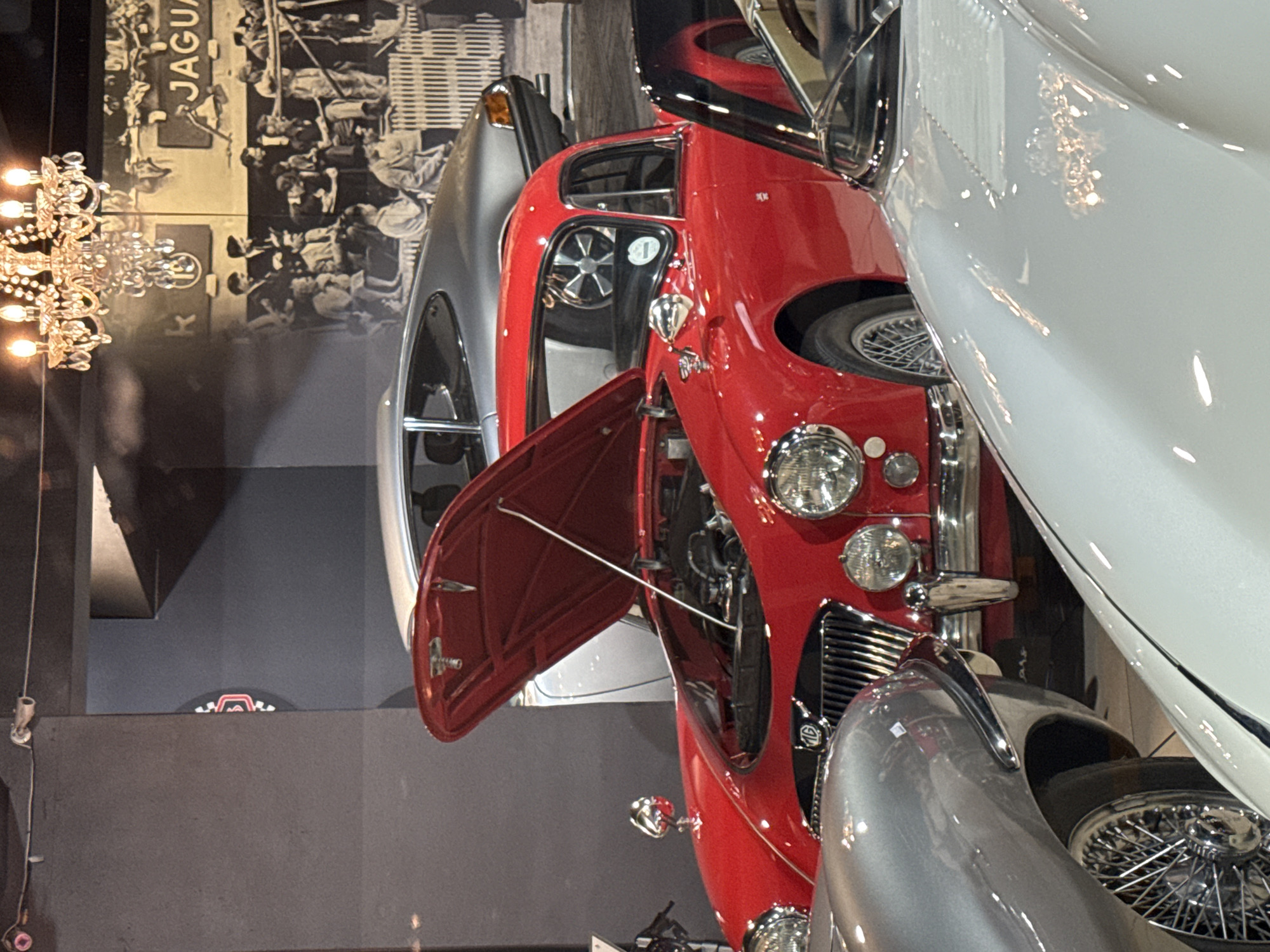 The image shows a display of vintage cars inside a building. The background features a wall decorated with a black and white photographic mural, which includes the word "JAGUAR." In the foreground, there are three classic cars parked close together. The car on the left is a silver roadster. The car in the middle is a red roadster with its hood open, revealing the engine compartment. To the right, there is a car that is white. There is a chandelier on the left. A logo with neon lights sits on a surface below the vintage cars. The location is likely a classic car museum or exhibit. The city of Cape Town, South Africa is unconfirmed.