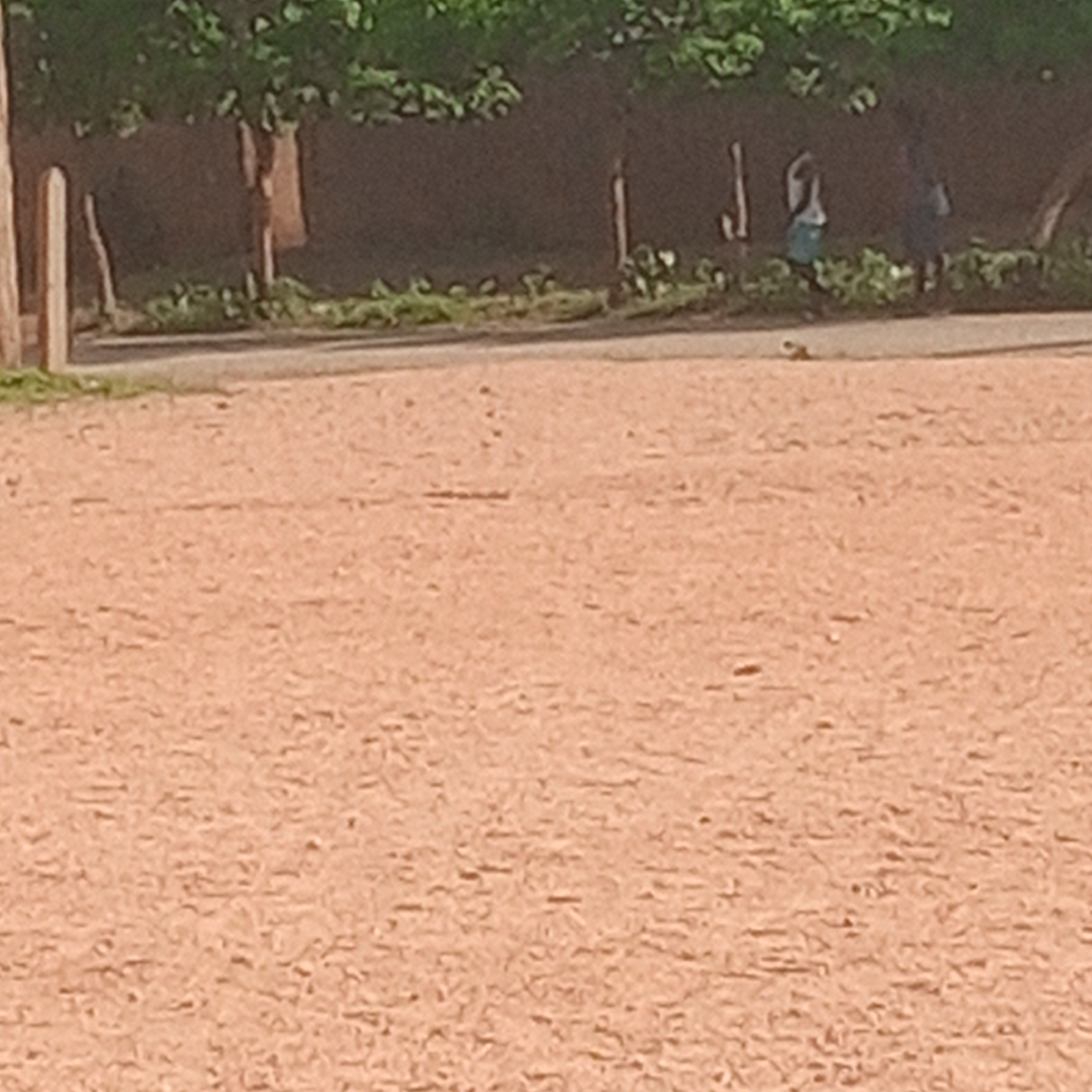 The image depicts an outdoor scene with a sandy ground in the foreground and a line of trees with foliage in the background. There are several vertical wooden posts in the middle ground, some of which are aligned with the trees. In the distance, partially obscured by foliage and trees, are two human figures. One figure, to the left, appears to be wearing a light-colored top and a dark skirt or shorts. The other figure, to the right, is more silhouetted and darker. The lighting suggests it is daytime, with the sun casting some shadows. The environment appears to be a park or a natural area within the city of Zinna, Nigeria, given the tropical vegetation and the presence of what appears to be a dirt path or road separating the sandy area from the trees. The overall image quality is low, with a noticeable lack of sharpness and detail.