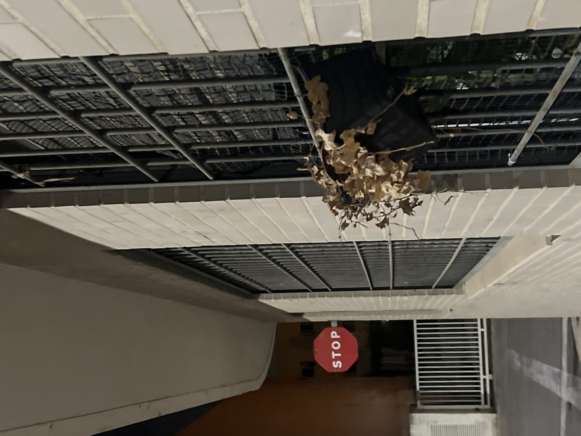 The image captures a nocturnal exterior view in Picassent, Spain, primarily focusing on the side of a building and an adjacent pathway. On the right, a structure of light-colored bricks features a window fortified with dark grey metal security bars, arranged in a grid pattern. A black planter, filled with numerous dry, light brown leaves, is affixed to the exterior of these window bars. Behind the bars, a dark mesh material is visible, with hints of green foliage beyond. The building exhibits a light-colored, flat overhang at the top. To the left and in the background, a building or wall with an orange-brown hue is present. A red octagonal "STOP" sign with white capital letters is mounted in front of this background structure. Below the sign, a white metal gate or fence, consisting of multiple vertical bars, stands on a dark paved surface. Faint, irregular white markings are visible on the pavement. The scene is devoid of people or active subjects.