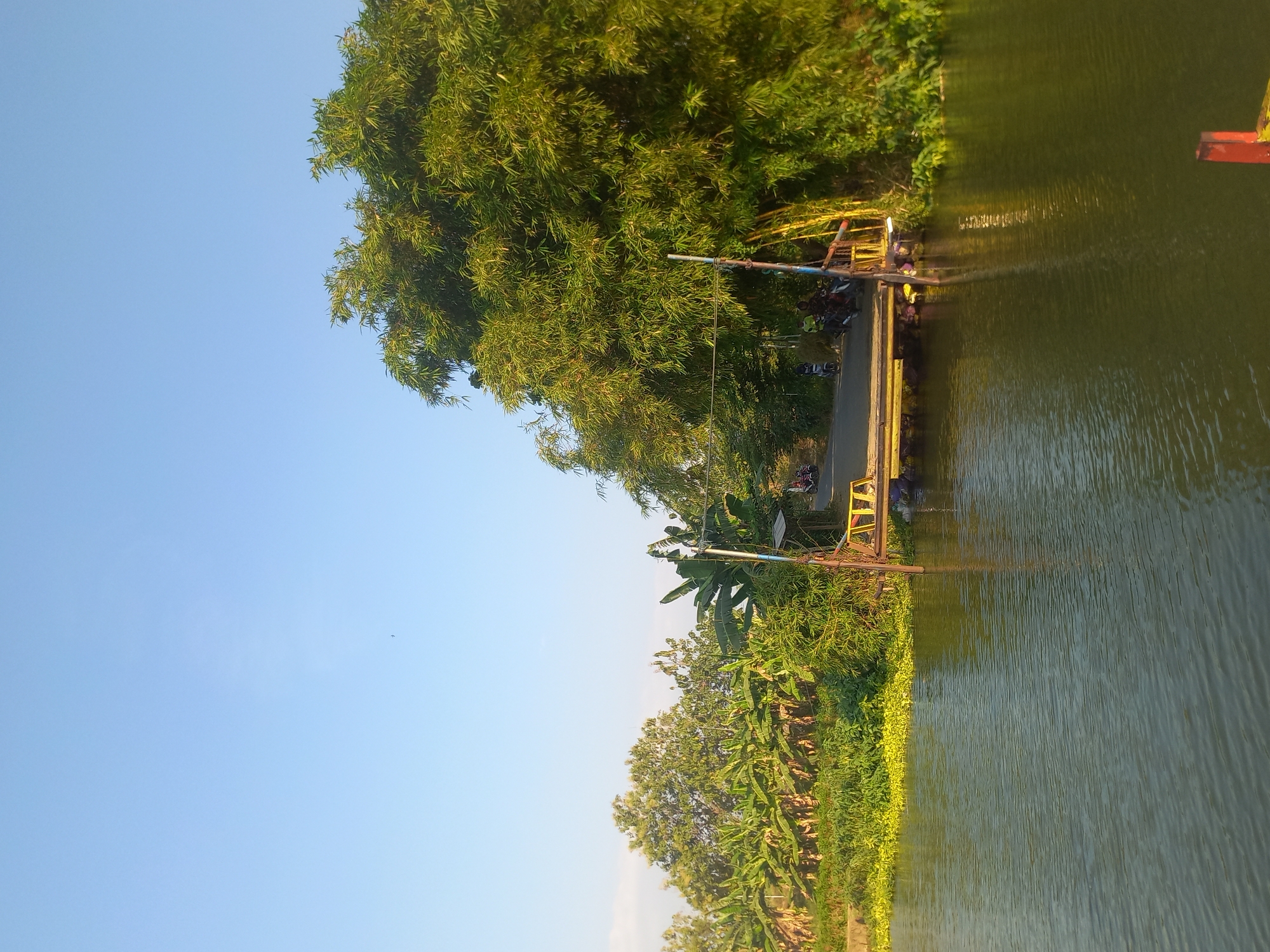 This image captures a serene waterside scene in Megaluh, Indonesia. The foreground is dominated by a tranquil body of dark green water, reflecting the surrounding greenery and sky. In the middle ground, a wooden pontoon bridge, constructed from yellow and brown planks, juts out from the right bank towards the water. The bridge appears to be a makeshift structure, possibly used for crossing the water or as a landing for small boats.
On the right side of the image, a dense cluster of tall, lush green bamboo trees creates a vibrant backdrop, their leaves rustling in what appears to be a gentle breeze. Adjacent to the bamboo, banana trees with their broad leaves are visible, suggesting a tropical environment. The left side of the image features more vegetation, including smaller shrubs and plants, lining the water's edge.
A paved road leads onto the pontoon bridge from the upper right portion of the frame. Several motorcycles are parked or stopped on the road and the bridge, with a few individuals visible, indicating human presence and activity. The sky above is a clear, pale blue, with a faint hint of clouds or atmospheric haze. The overall impression is one of a peaceful rural or semi-rural setting, likely at the edge of a village or agricultural area within Megaluh. The lighting suggests it is either early morning or late afternoon, with the sun casting a warm glow on the scene.