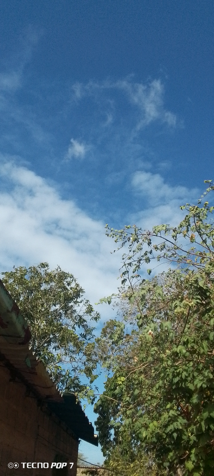 The photograph, likely taken in Altagracia, Venezuela, captures a daytime view dominated by a blue sky with scattered white clouds. A portion of a building's roof, constructed from corrugated metal, is visible in the lower left corner, with weathered brick walls extending from the base. Two trees with varying shades of green foliage frame the upper portion of the image. The photograph was taken using a Tecno Pop 7 mobile phone.