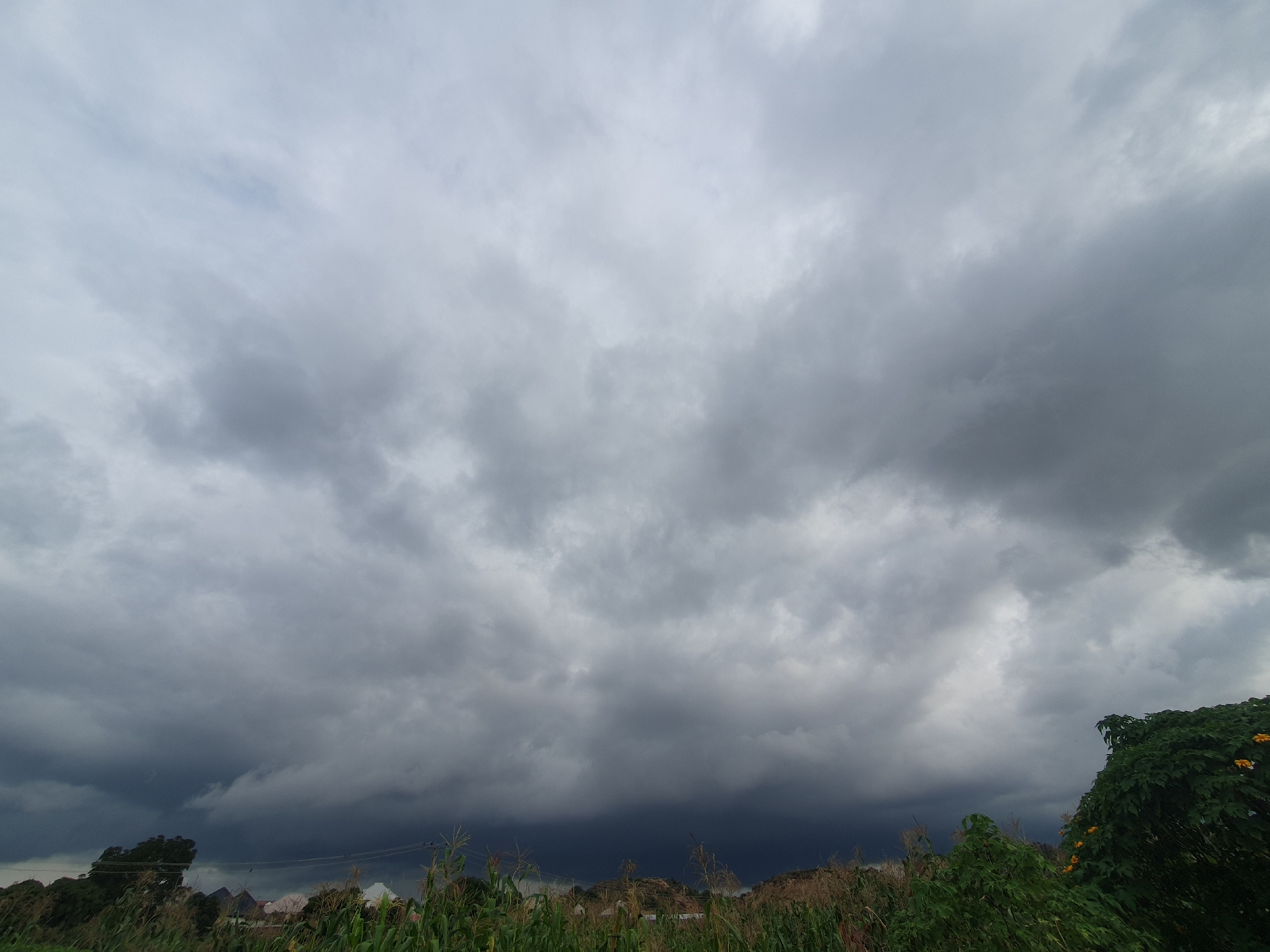 The image shows a sky filled with dark, heavy storm clouds. Below the dramatic sky, there is a landscape of green vegetation, including what appears to be a cornfield in the foreground. In the background, there are hints of structures and trees, suggesting a rural or semi-urban setting. The overall impression is of an impending storm. The image does not provide any specific information or visual cues that would allow for the identification of the city of Gura Top, Nigeria.