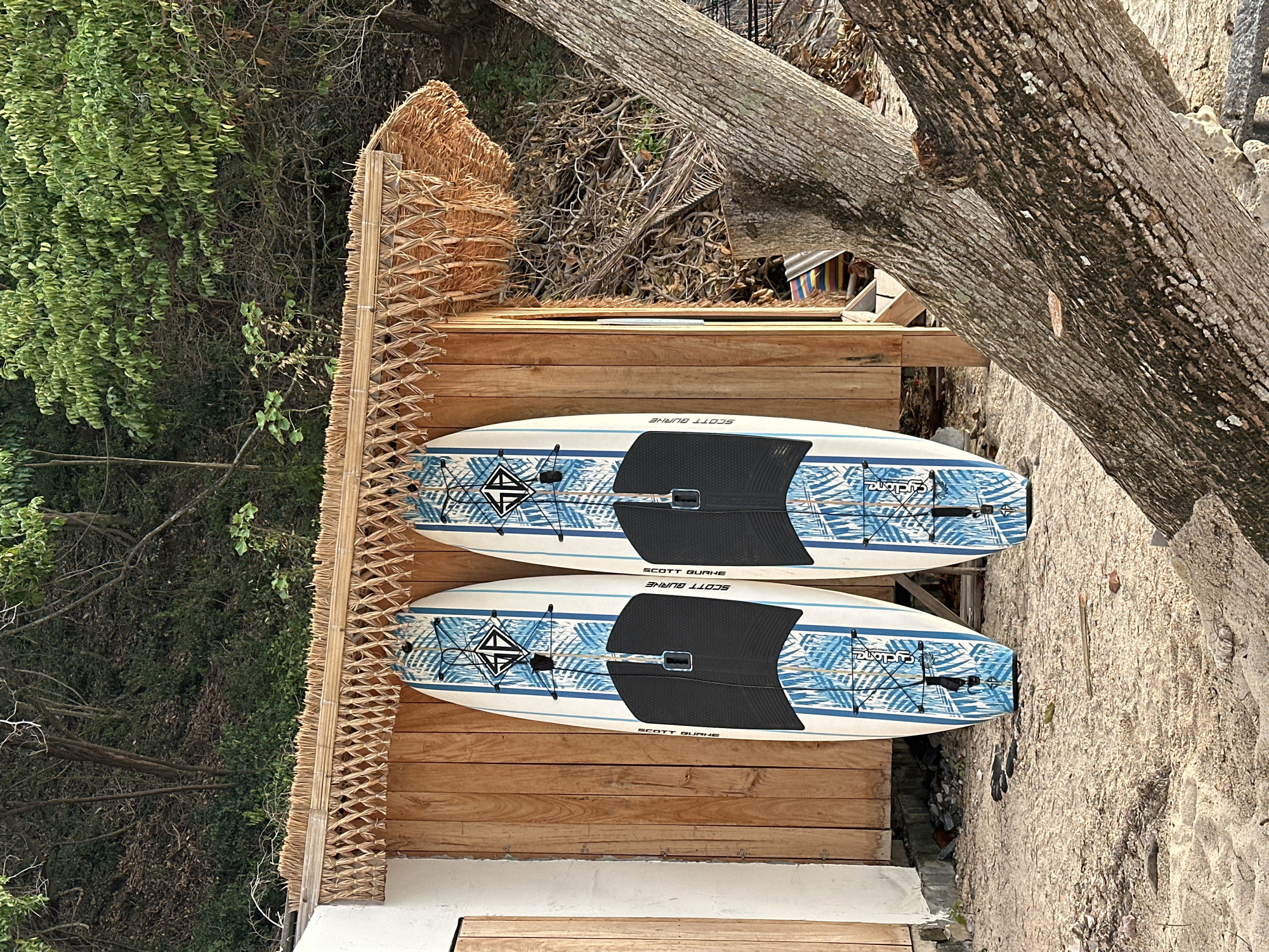 Two stand-up paddleboards with a blue and white palm leaf design are leaning against a wooden structure with a thatched roof on a sandy beach. The structure appears to be a small shed or storage area. In the background, dense green foliage covers a hillside. A large tree trunk is in the foreground, partially obscuring the view. The scene is set in a tropical environment, likely Ko Samui District, Thailand, known for its beaches and lush vegetation.
