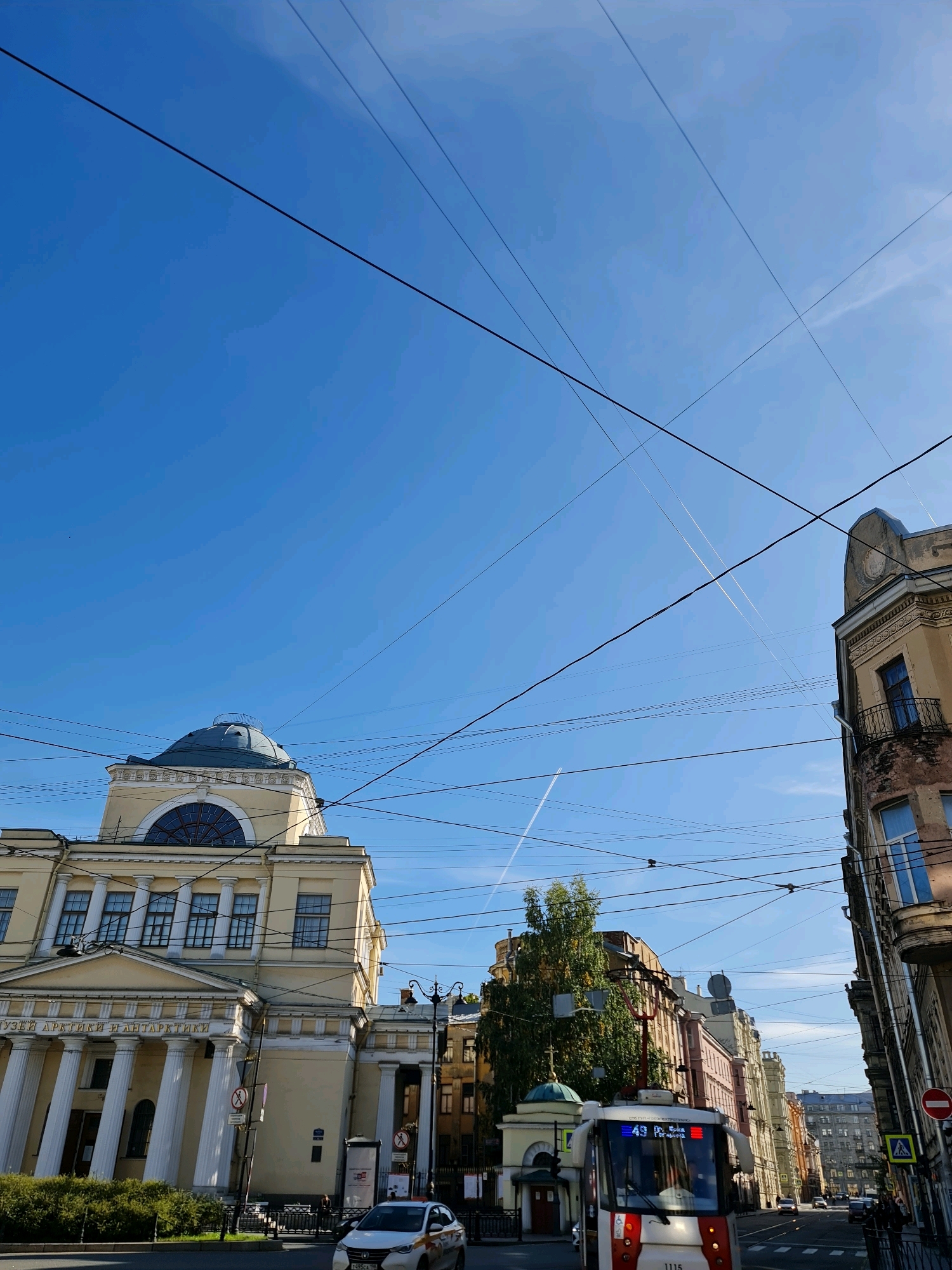 This is an exterior, eye-level, medium shot of a street in Saint Petersburg, Russia, featuring a streetcar and several historic buildings. The sky is clear blue with a few contrails from airplanes. Numerous overhead wires crisscross the frame, obscuring parts of the sky and buildings.
On the left, a large, light-yellow neoclassical building with a prominent dome dominates the foreground. It has a colonnade with massive white columns and arched windows. The text "МУЗЕЙ АРКТИКИ И АНТАРКТИКИ" (Museum of Arctic and Antarctic) is visible on the facade. A white car is parked on the street in front of the building.
In the center and right, a red and white streetcar is moving away from the viewer. The streetcar displays route number "43" and destination "пр. БОЛЬШЕВИКОВ" (Bolshevikov Ave.). Behind the streetcar, a row of colorful buildings with intricate architectural details lines the street.
Pedestrian crossings and traffic signs are visible on the sidewalks. A few pedestrians can be seen walking along the street. The overall impression is a bustling urban scene with a blend of historical architecture and modern transportation.