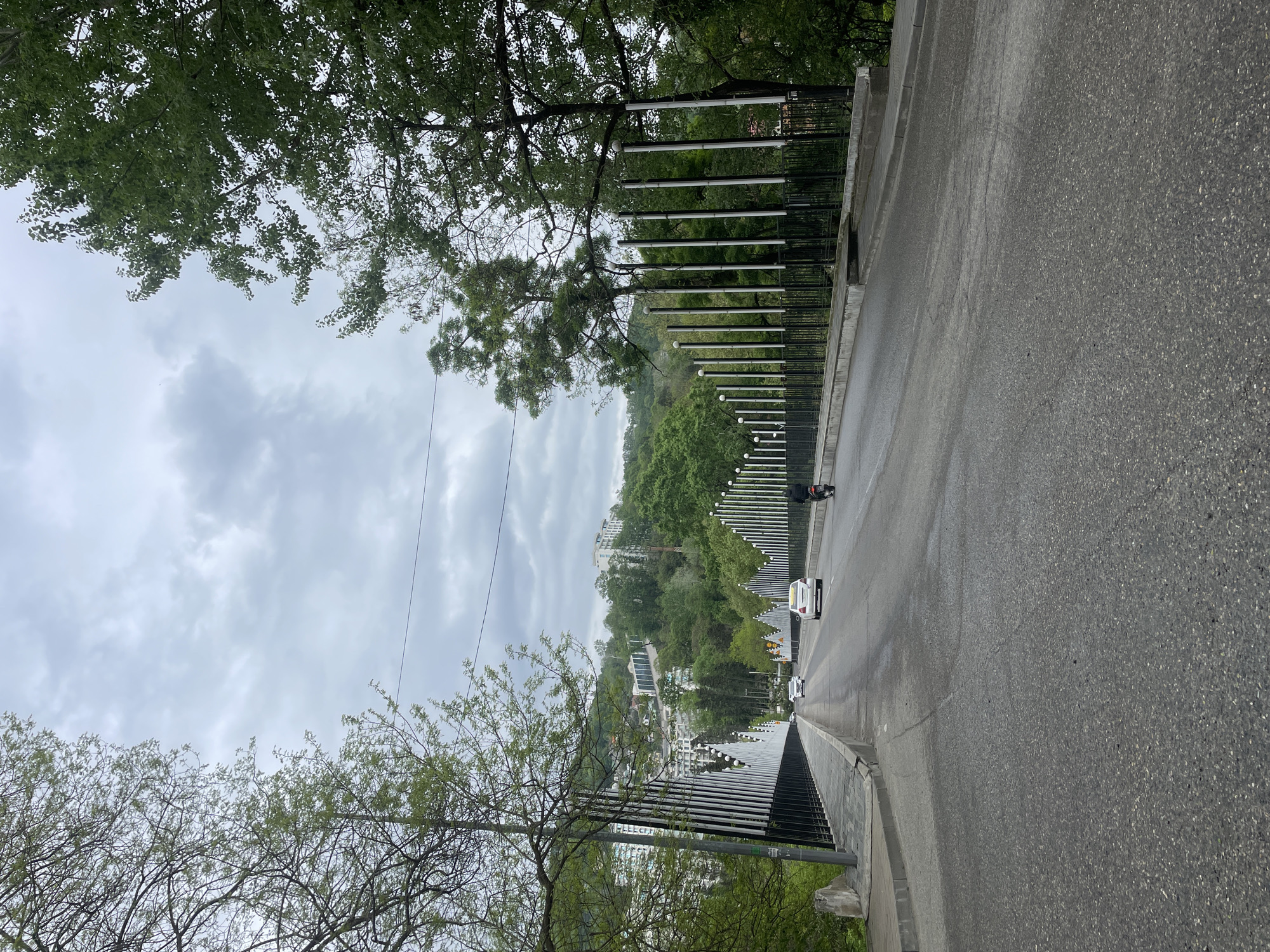 The image depicts a street view from a bridge in Sochi, Russia. The road surface is gray asphalt, appearing damp. A modern metal fence lines the side of the bridge, featuring vertical white poles topped with spherical lights. Trees and other greenery are visible in the background, obscuring buildings on a distant hillside. The sky is overcast with gray clouds. Two cars are visible on the road. At the end of the bridge a man sitting on a scooter can be seen. Vegetation frames the top and bottom of the view. Electrical wires are faintly visible against the cloudy sky.