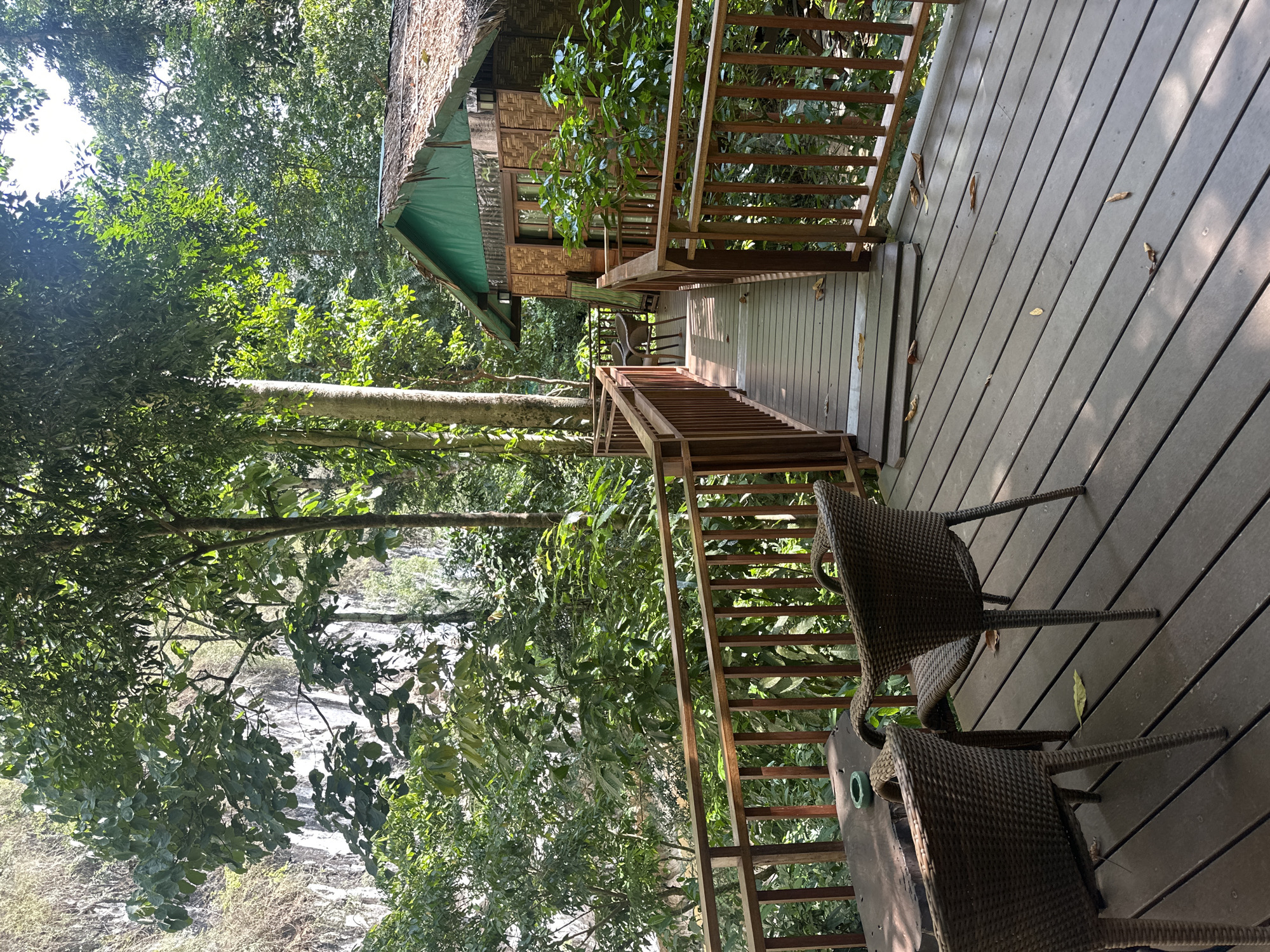 The image captures a serene outdoor setting in Khlong Sok, Thailand, possibly at a resort or ecotourism site, indicated by the presence of a treehouse-style bungalow and the lush surrounding rainforest. A wooden deck dominates the foreground, furnished with a table and two wicker chairs, implying a space for relaxation or dining. The deck leads to a walkway connected by wooden stairs and railings, suggesting elevated pathways within the natural environment. Dense vegetation fills the background, hinting at a waterfall in the distance. The scene is bathed in natural light, casting shadows across the deck and foliage.
