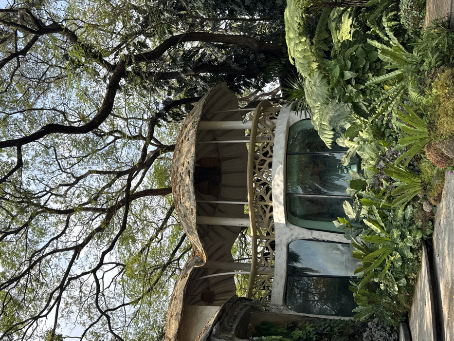 A unique building, possibly a treehouse, features organic shapes and a domed roof. Trees surround the structure. A complex network of branches occupies the upper left. The building's exterior is adorned with decorative latticework. Lush greenery and plants add to the natural setting, blending the building with the landscape. Windows reflect the surrounding trees and sky.
