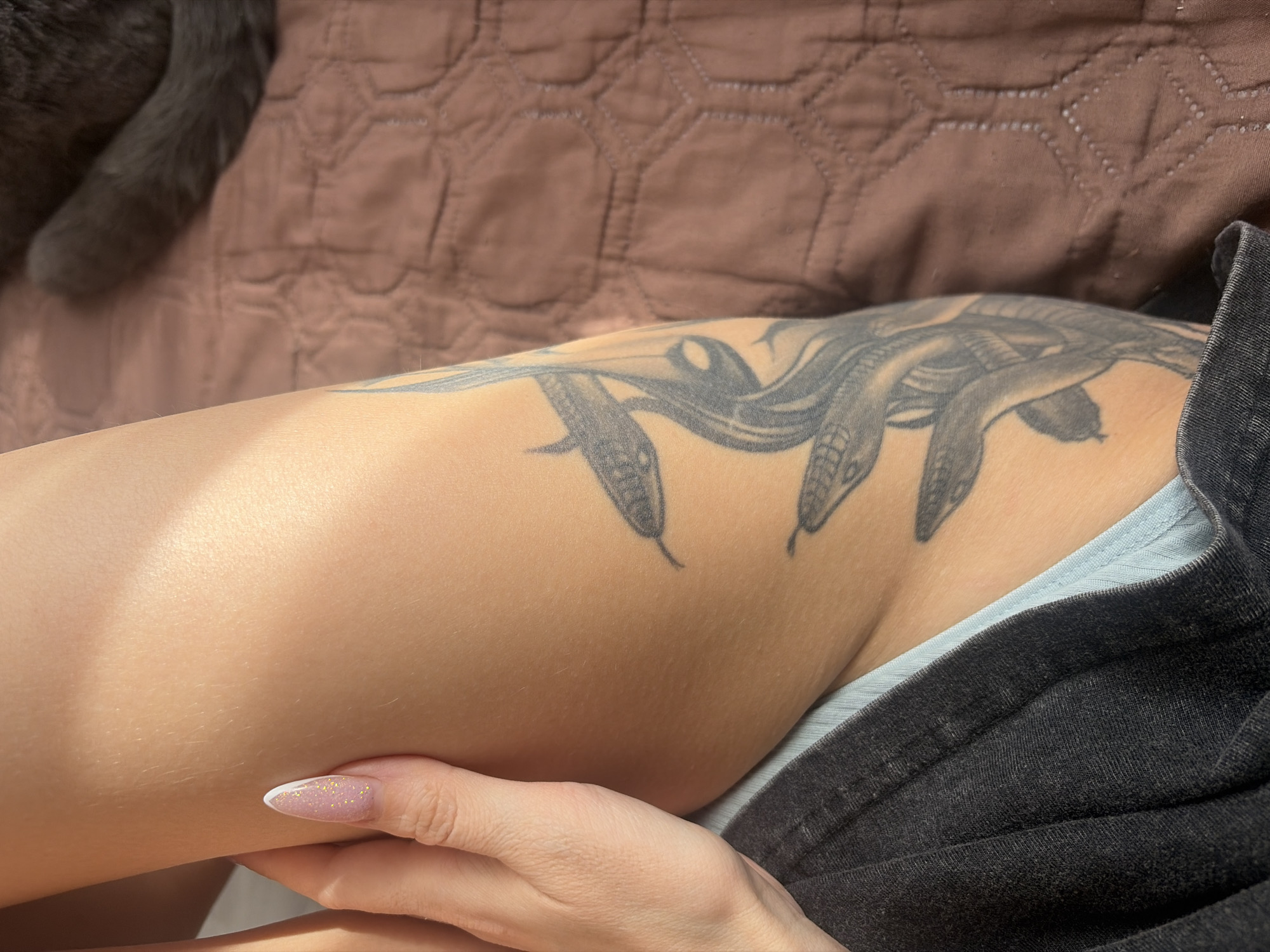 An overhead close-up shot captures a person's upper leg adorned with a detailed black and grey tattoo of several intertwined snakes, possibly inspired by Medusa or a similar theme. The tattoo occupies a significant portion of the outer thigh. A hand with manicured nails, featuring glittery pink/purple polish and white tips, gently rests on the inner thigh.
In the background, to the left, the furry leg or tail of a grey cat is visible on a brown or beige quilted bedspread or blanket, suggesting an indoor setting like a bedroom or living area. Bright natural light illuminates the scene, highlighting the skin and the texture of the fabric, indicating it is daytime. Part of a light blue elastic band, likely from underwear or a garment, is visible near the person's hip, beneath dark fabric that appears to be shorts or another piece of clothing. No specific visual cues in the image directly indicate the location as Saint Petersburg, Russia, but this is the provided context. There is no visible text in the image. The overall mood appears relaxed and calm.