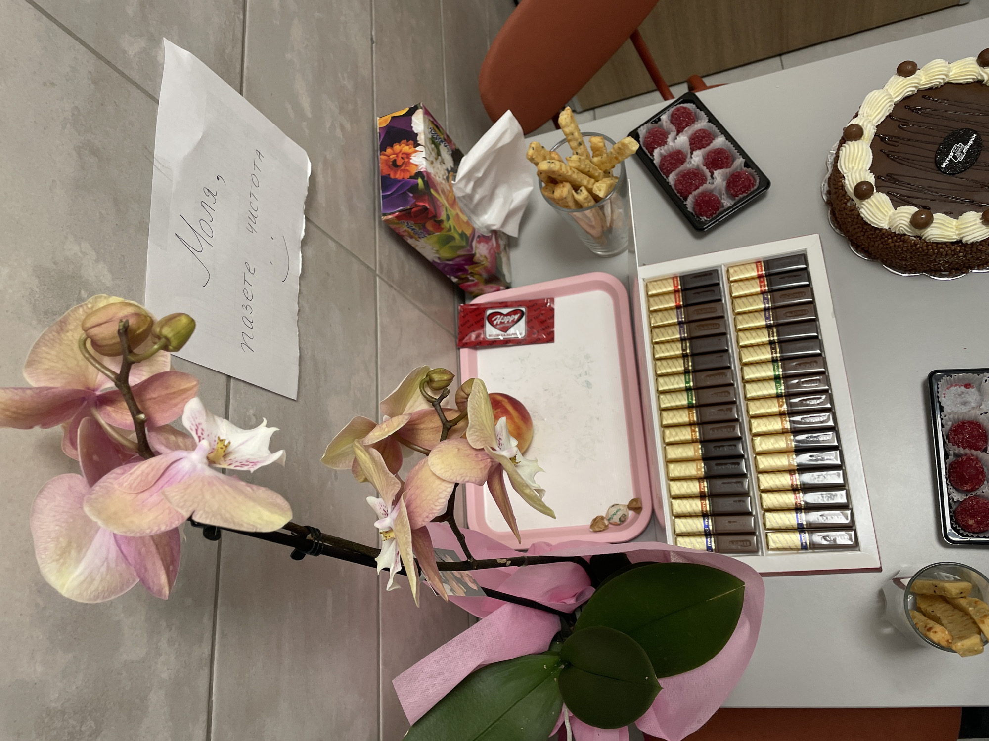 An overhead shot captures a table laden with treats: a cake, chocolates, raspberry candies, and breadsticks. Adjacent to the sweets is a box of tissues. An orchid in full bloom sits beside a handwritten note taped to the wall. The note reads "Molia, pazete chistota :)". Considering the script and the phrase, this scene is likely in Sofia, Bulgaria. The phrase translates to "Please, keep it clean :)".